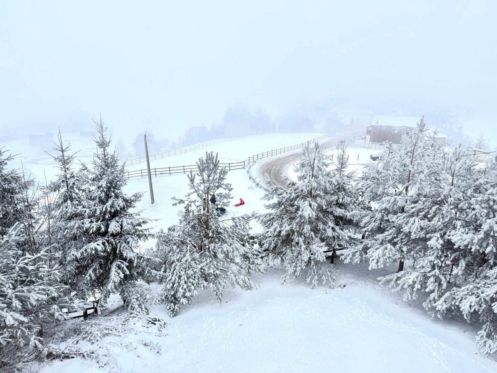 Boutique Hotel Pui de Urs Fundata