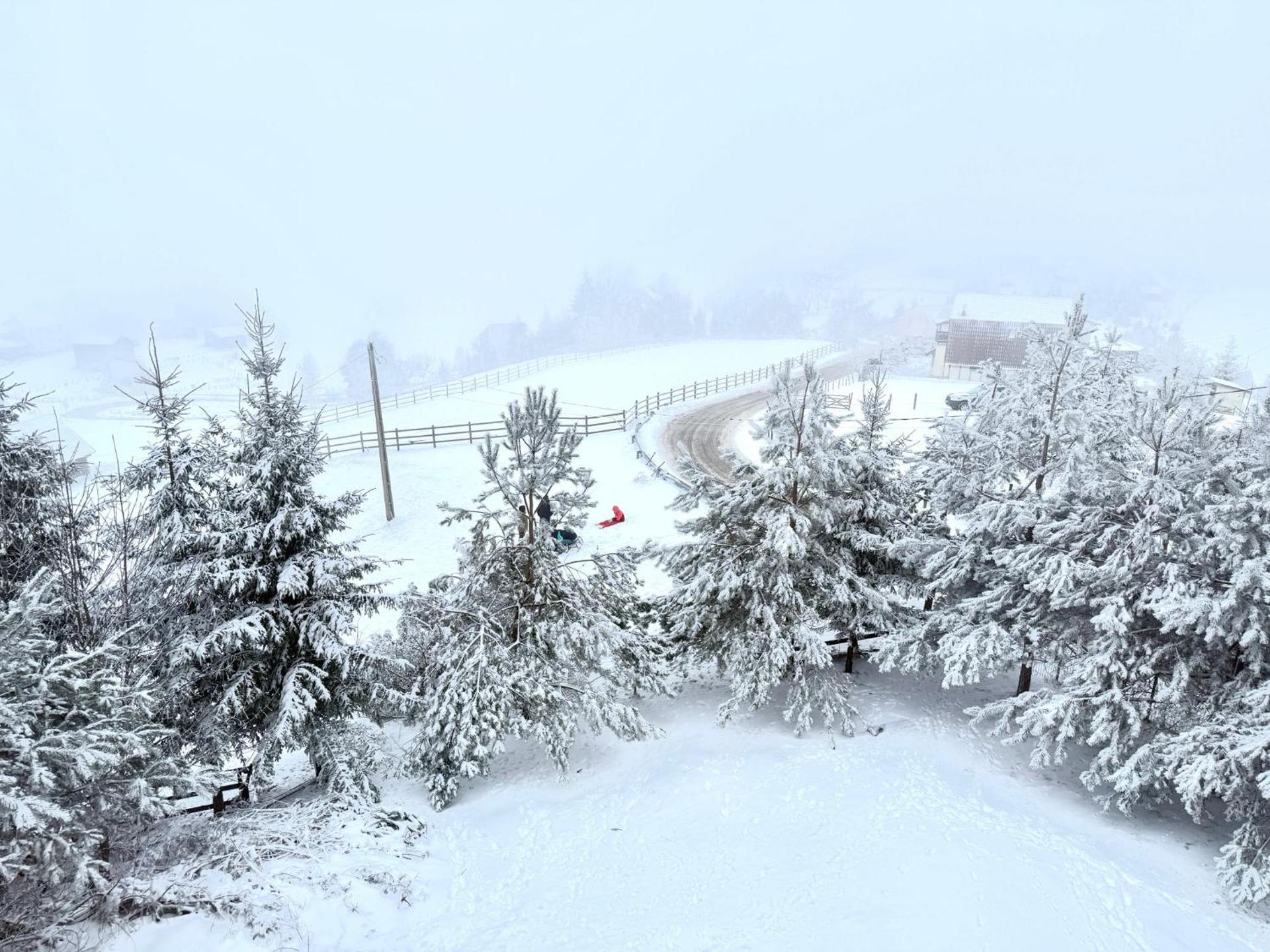 Boutique Hotel Pui de Urs Fundata