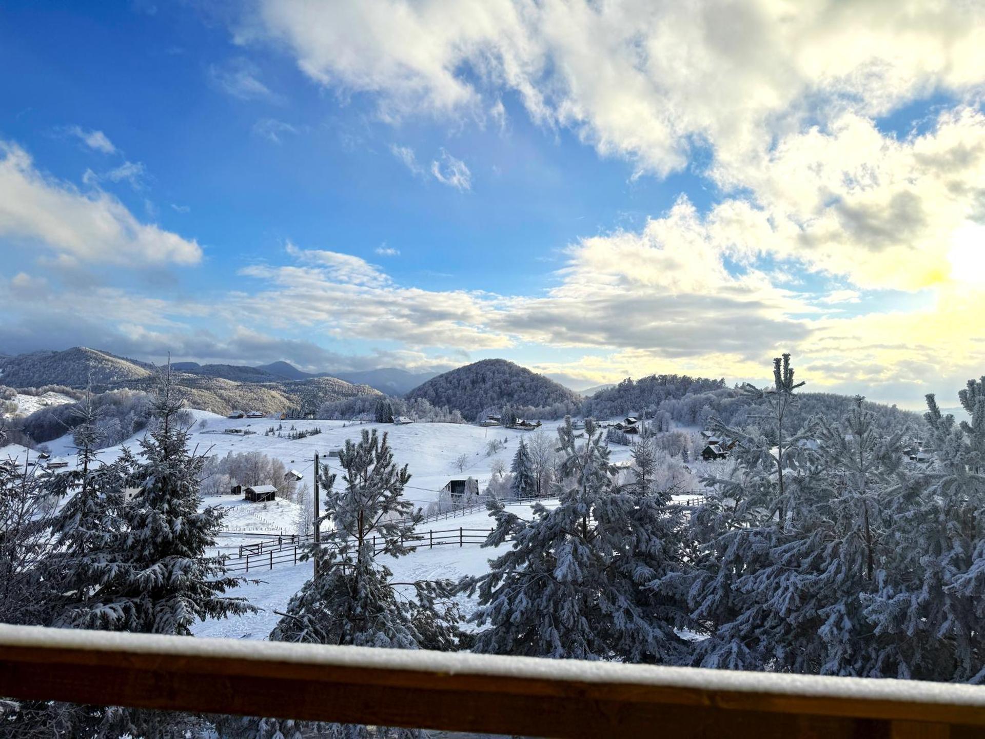 Boutique Hotel Pui de Urs Fundata