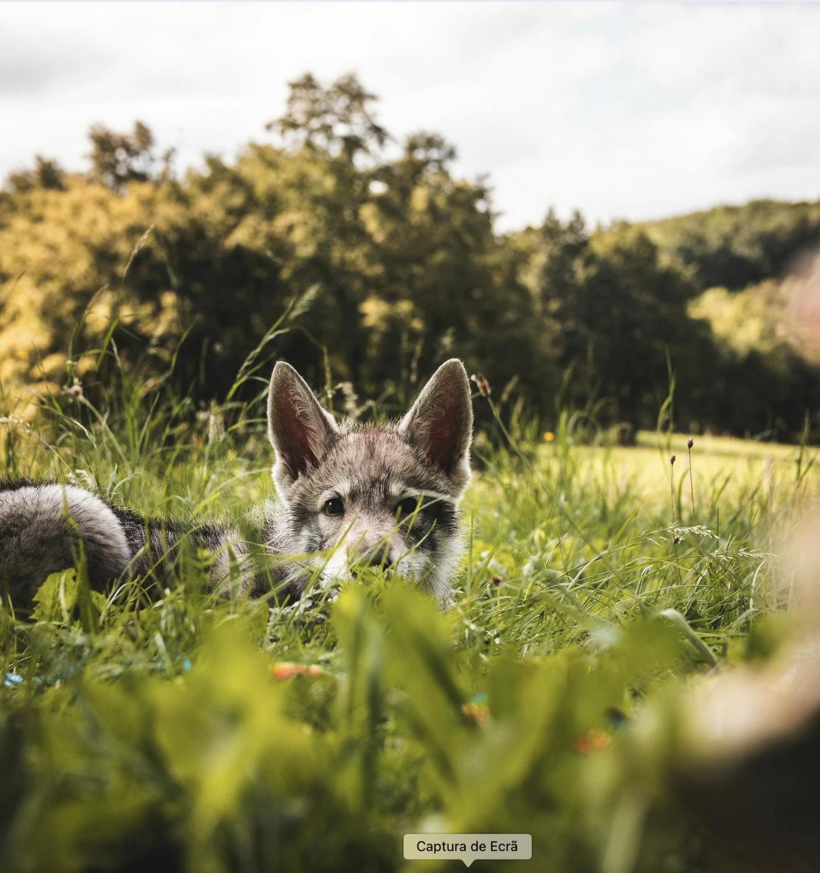 Quinta Alto da Capela
