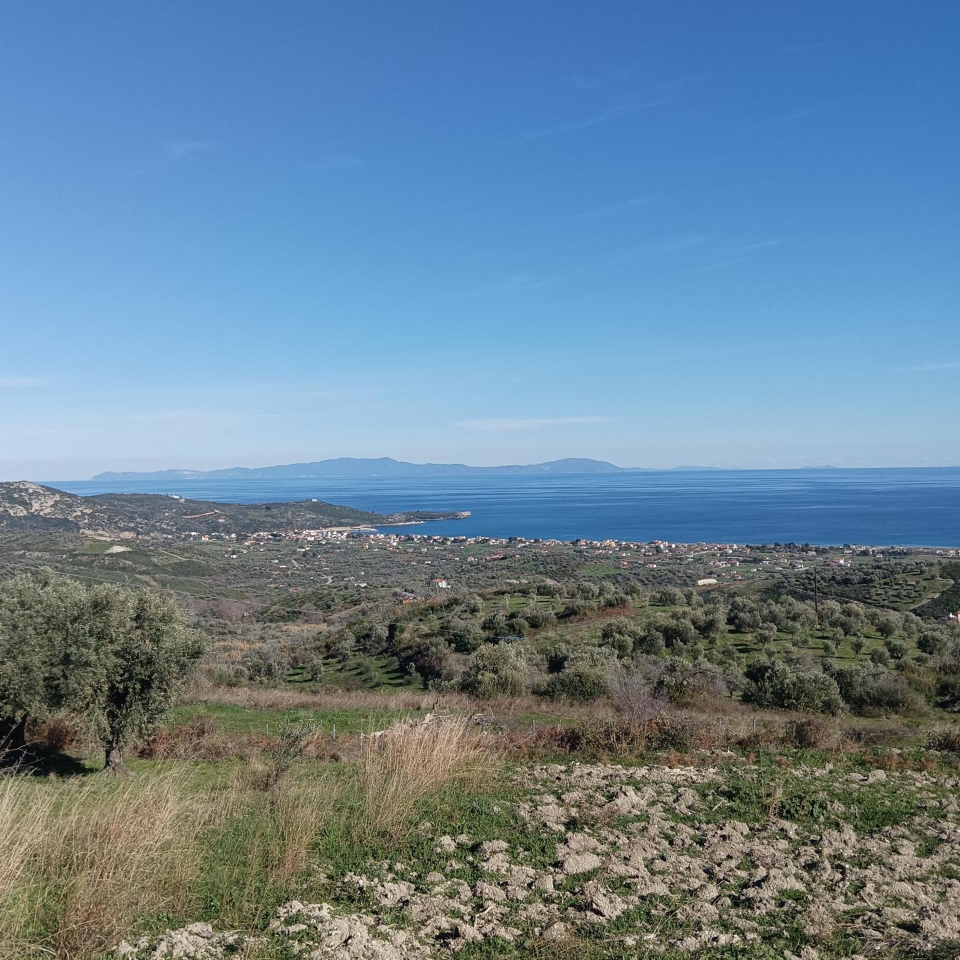 Elegant Dream Suites