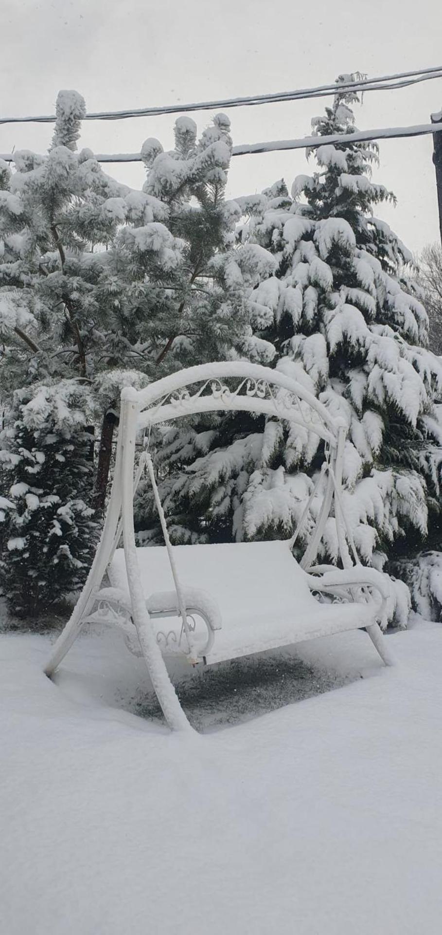 Holiday House Valiug