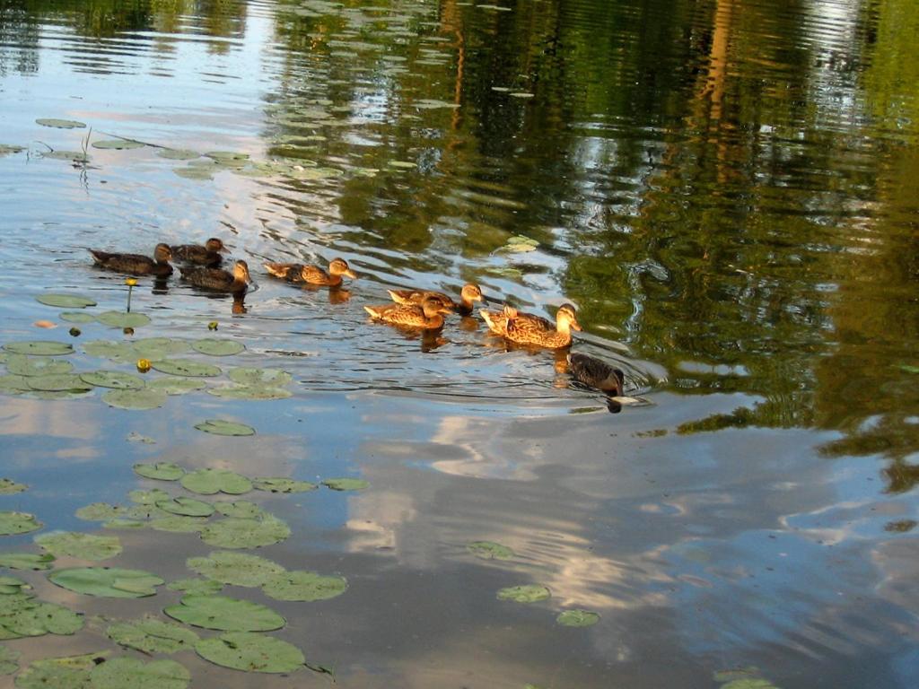 Hotel Baltazar Pułtusk