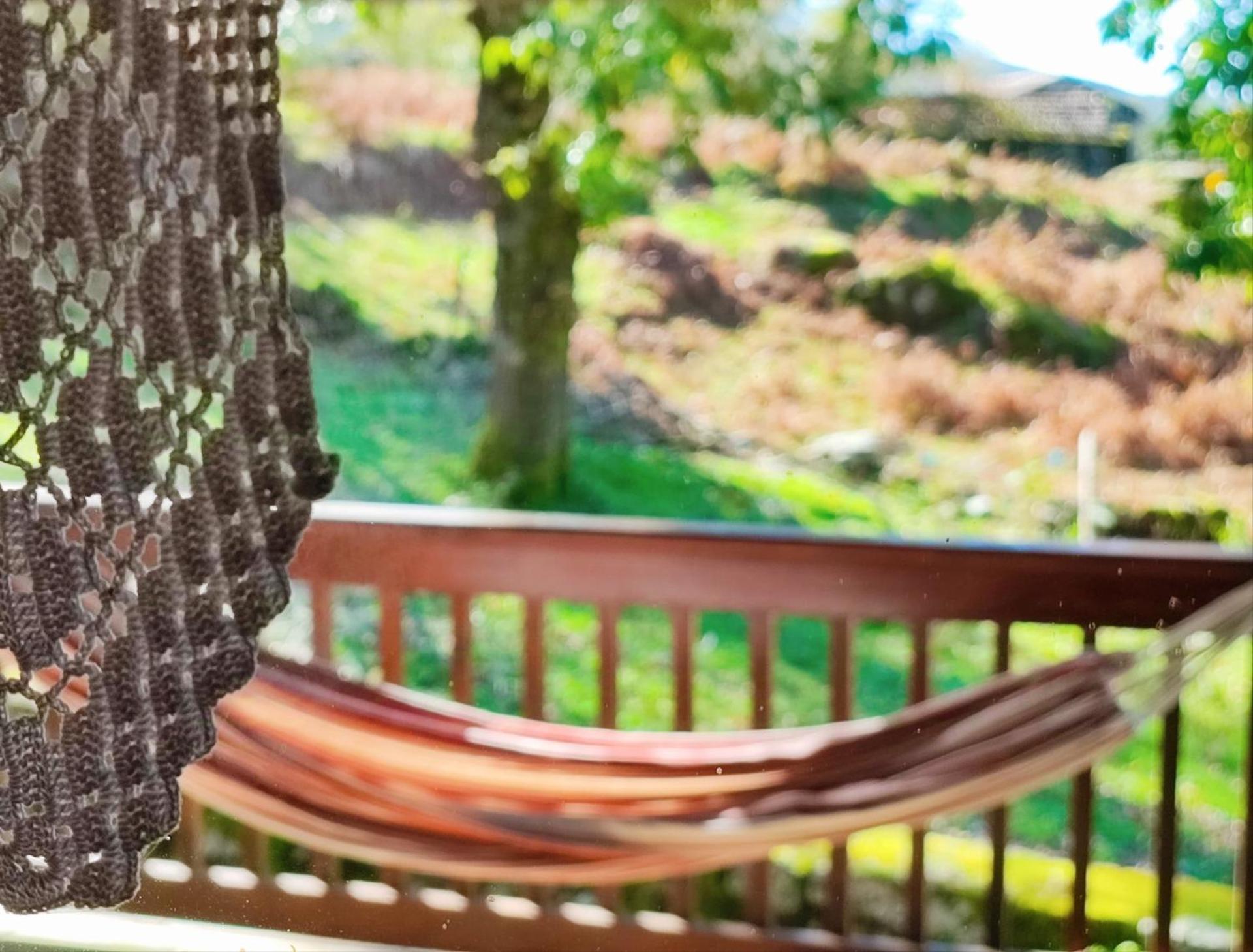 Casa do Rio, Natureza - Nova Gestão