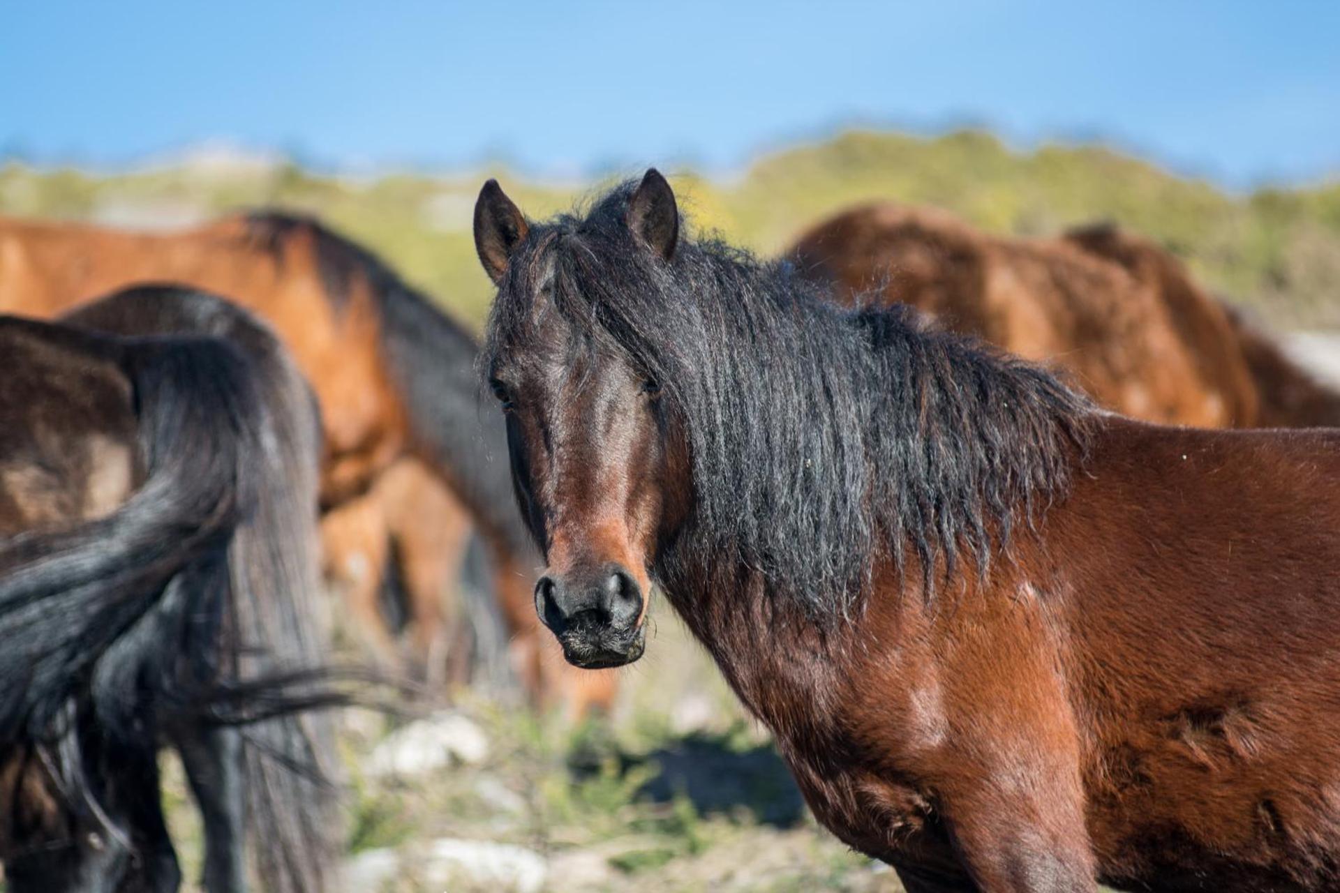 Casa do Rio, Natureza - Nova Gestão