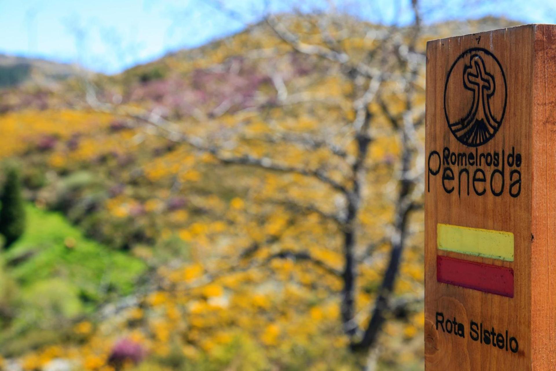 Casa do Rio, Natureza - Nova Gestão