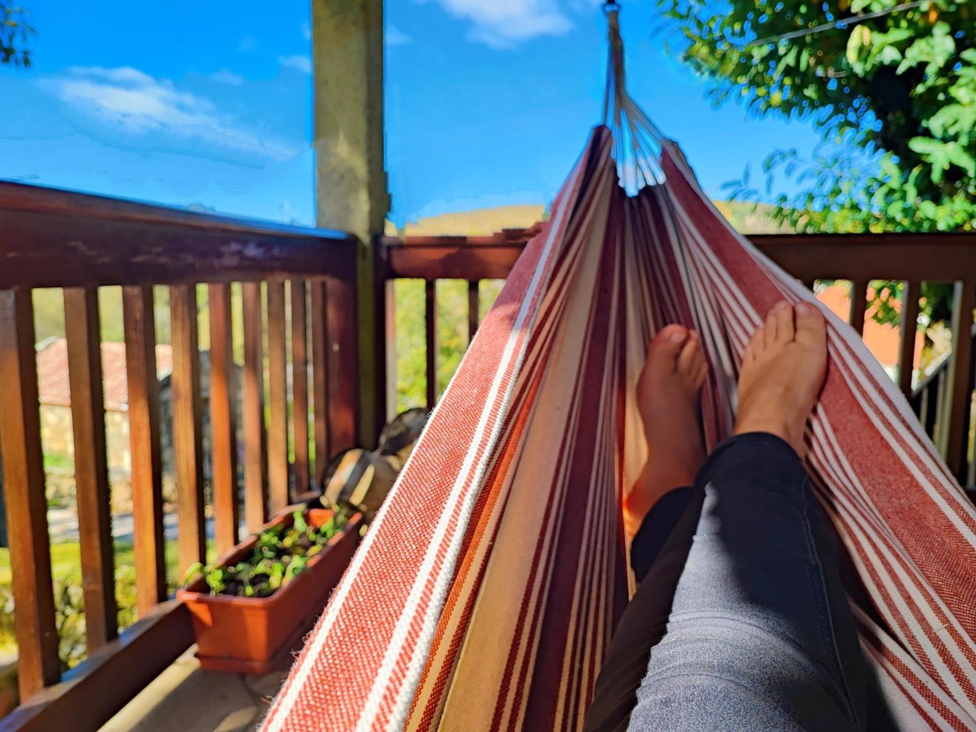 Casa do Rio, Natureza - Nova Gestão