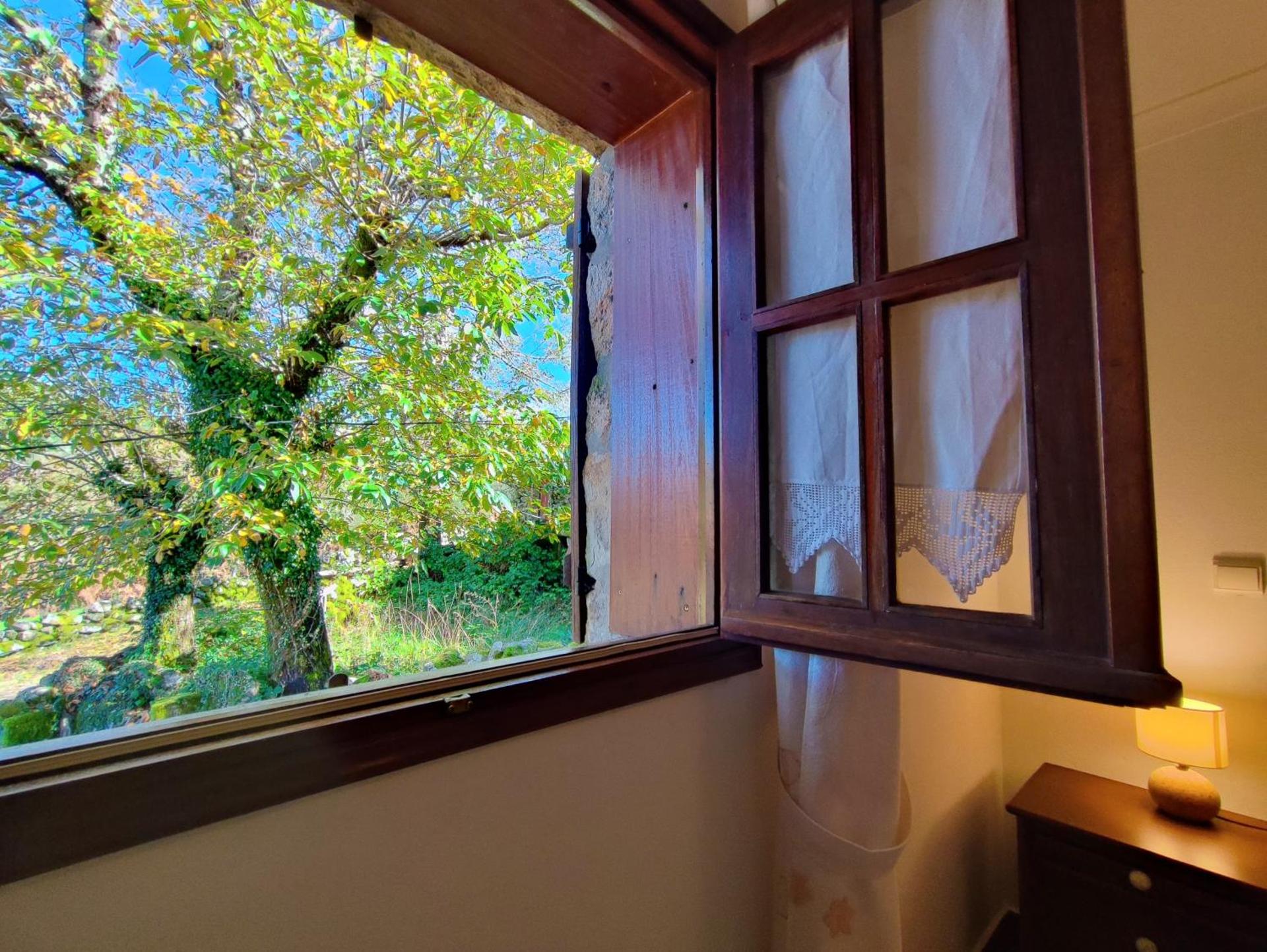 Casa do Rio, Natureza - Nova Gestão