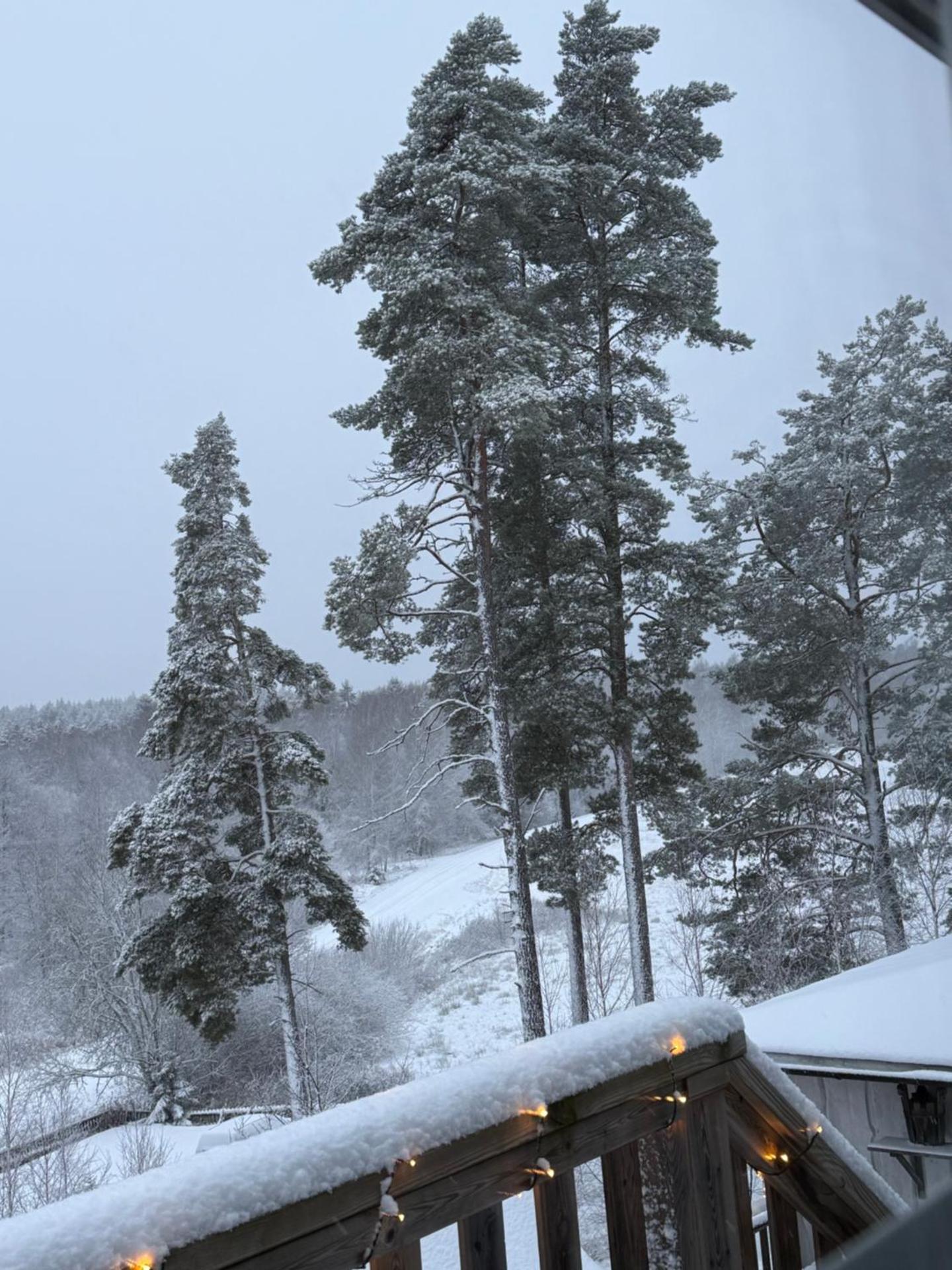 Kolmårdsgården B&B