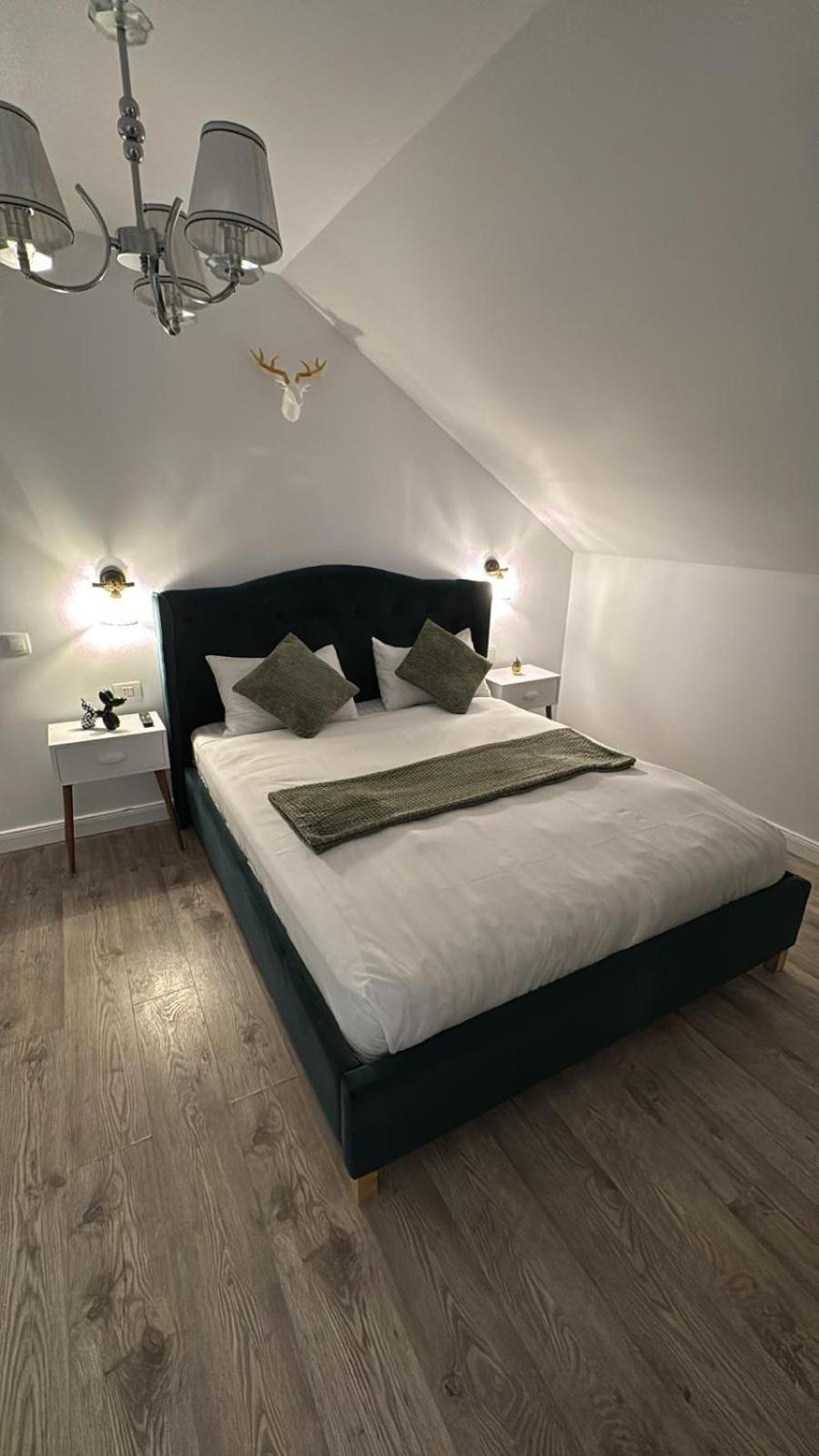 Transylvania Mountain View CDI