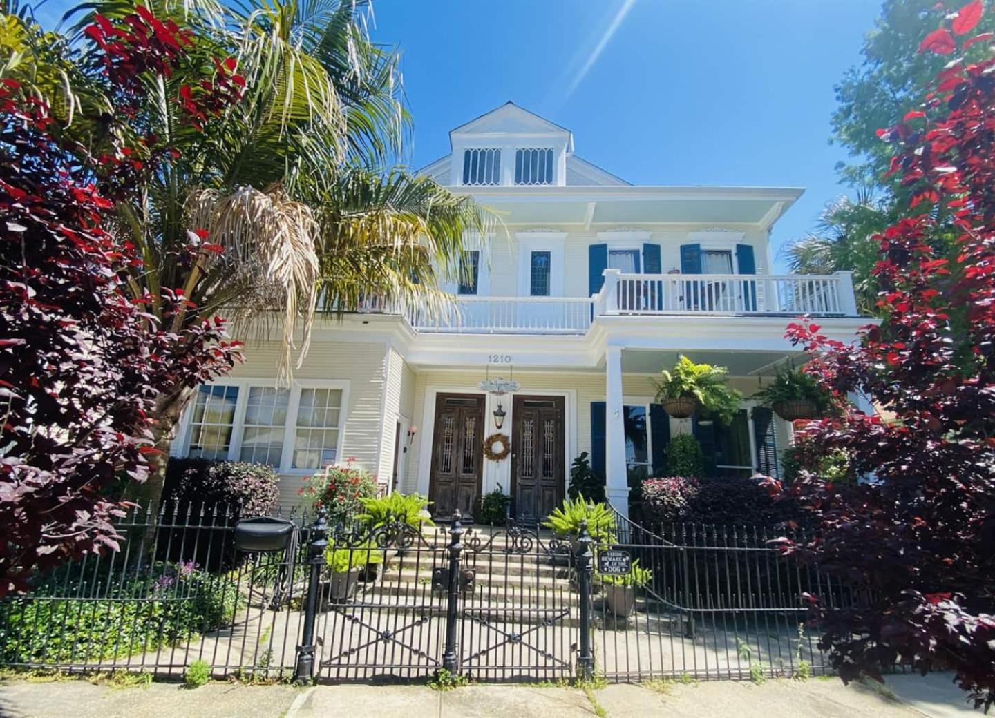 Dragonfly Tremé-5 Star-near FrQHeated Salt Pool