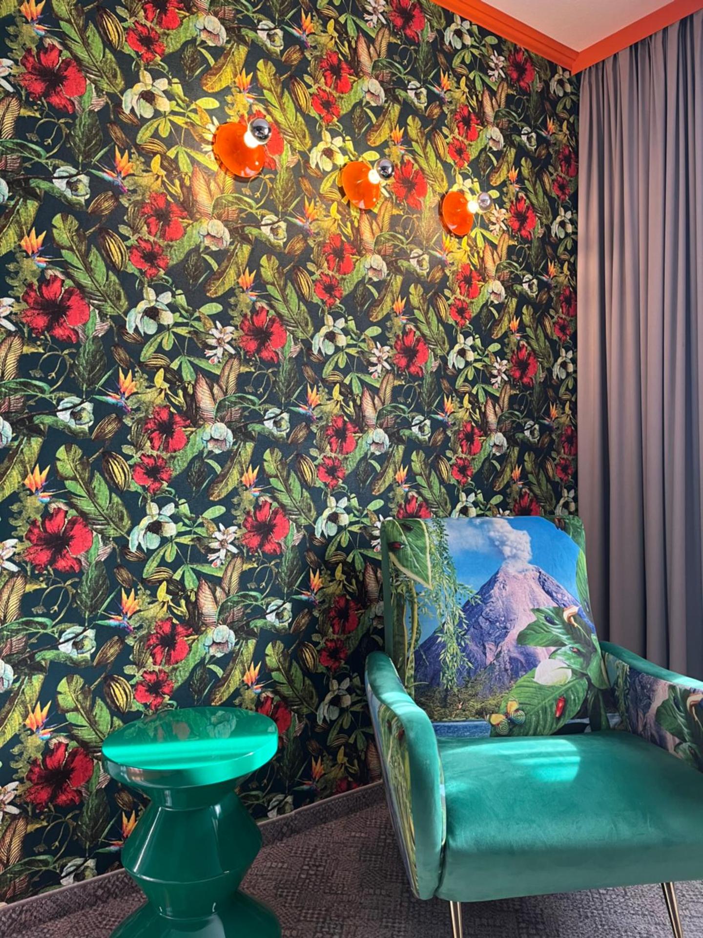 Photo of the whole room