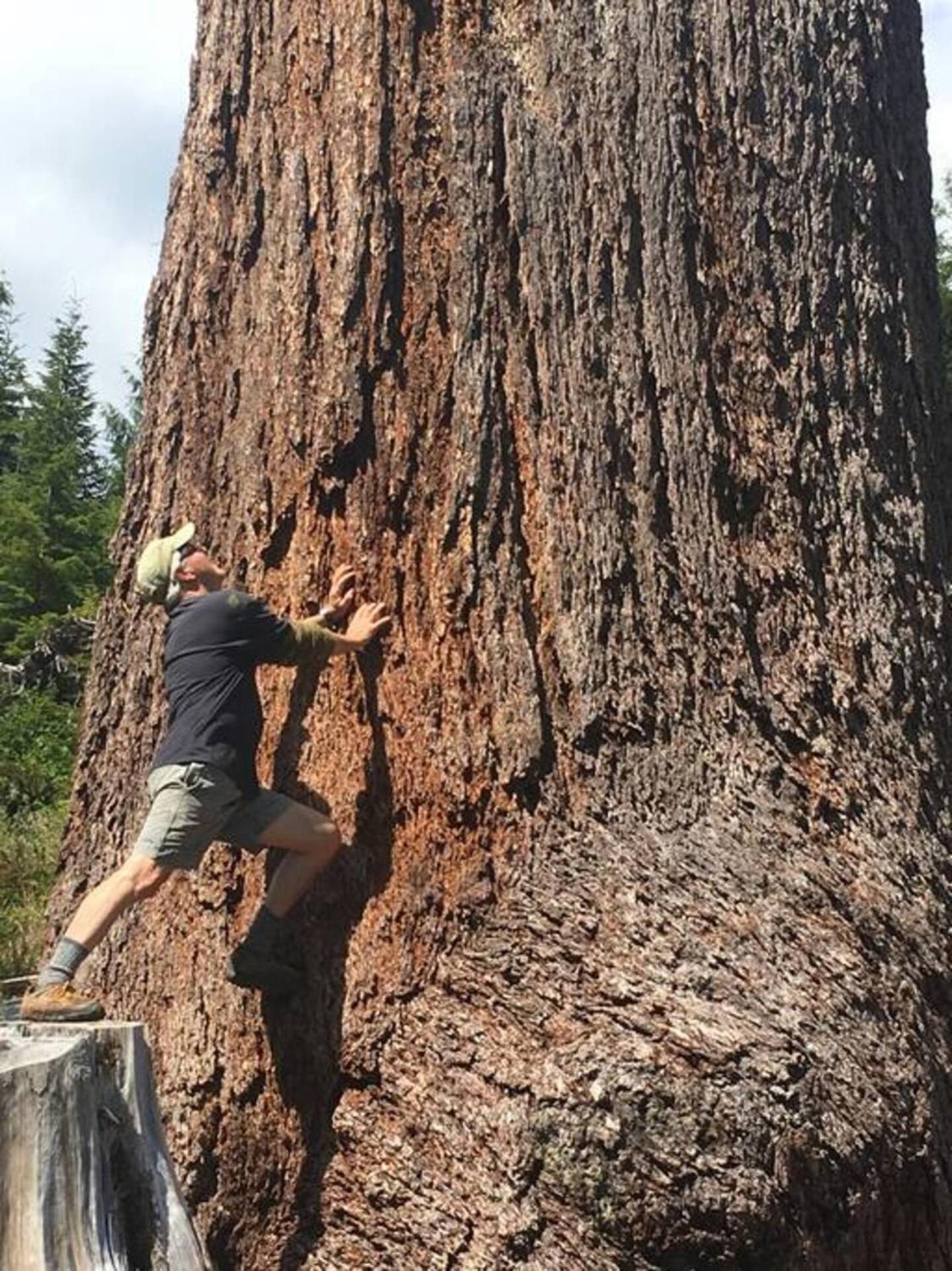 The Great Escape - Port Renfrew