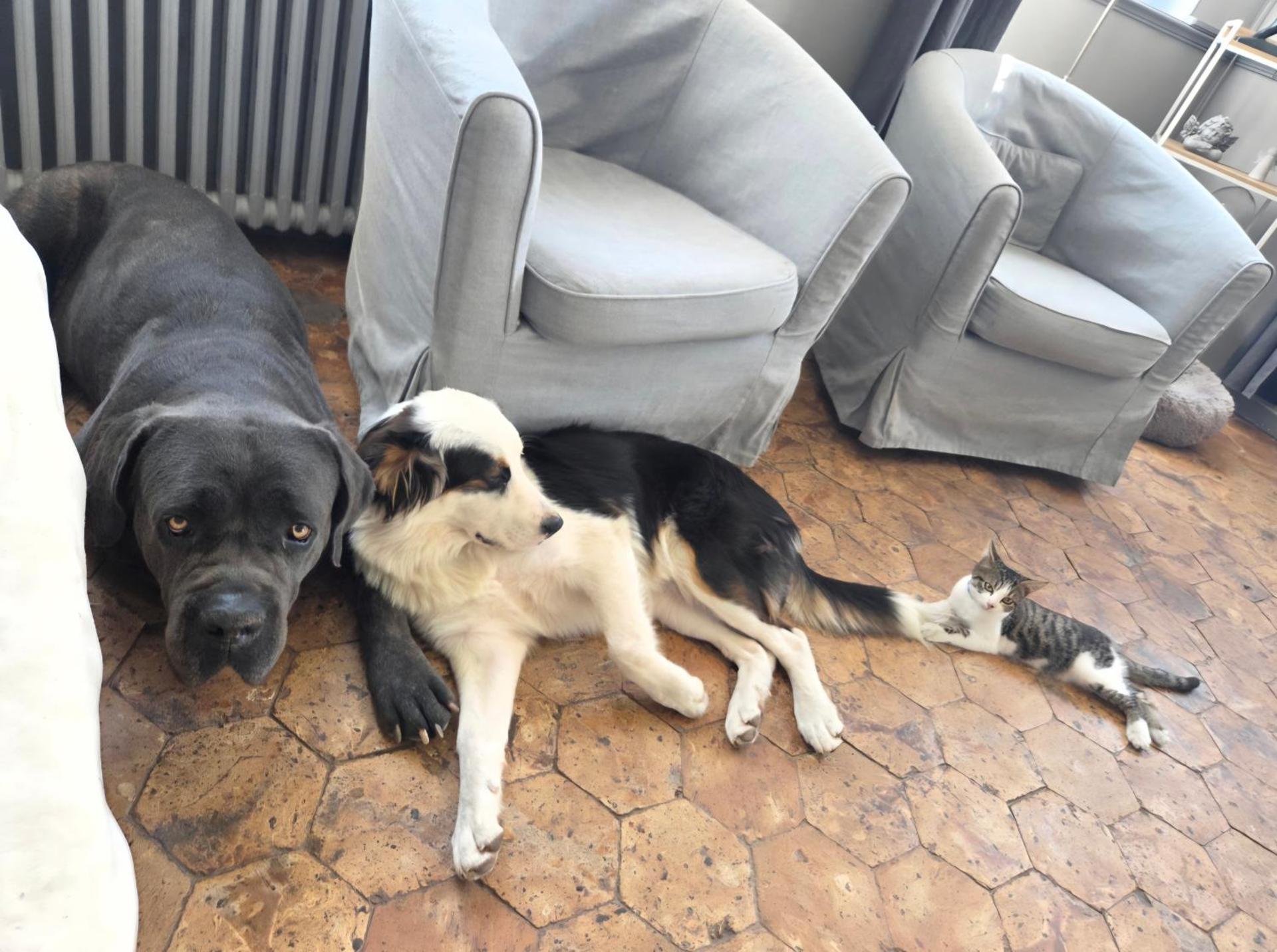 Le Manoir de Séverine