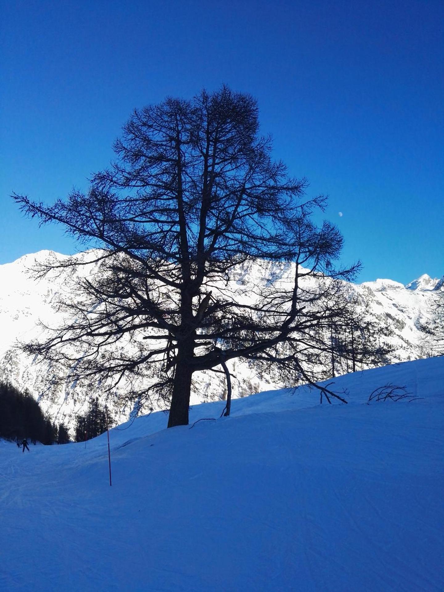 Maison Sarteur Alloggio ad uso turistico -VDA-LA THUILE- 0065