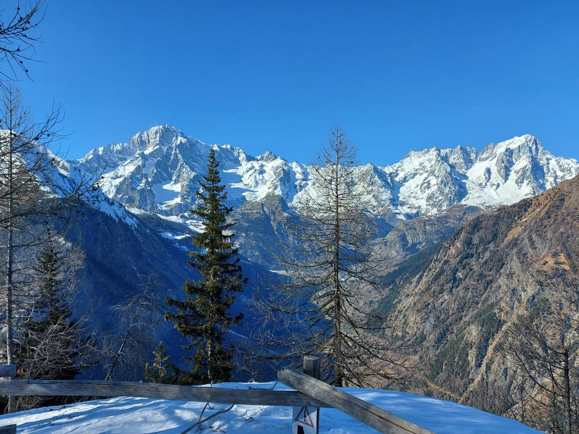 Monolocale Belvedere