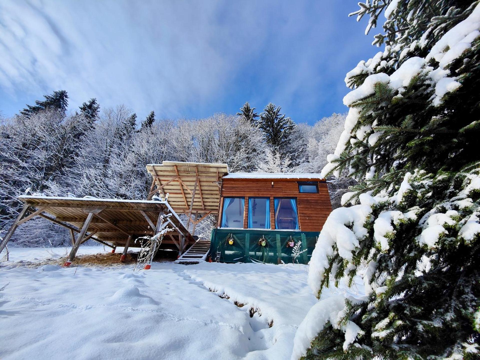 Tiny House Retreat Bran