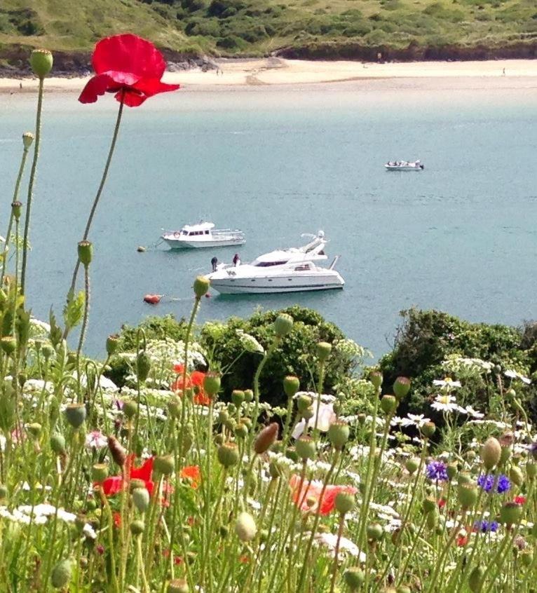 Cyntwell Guest Accommodation