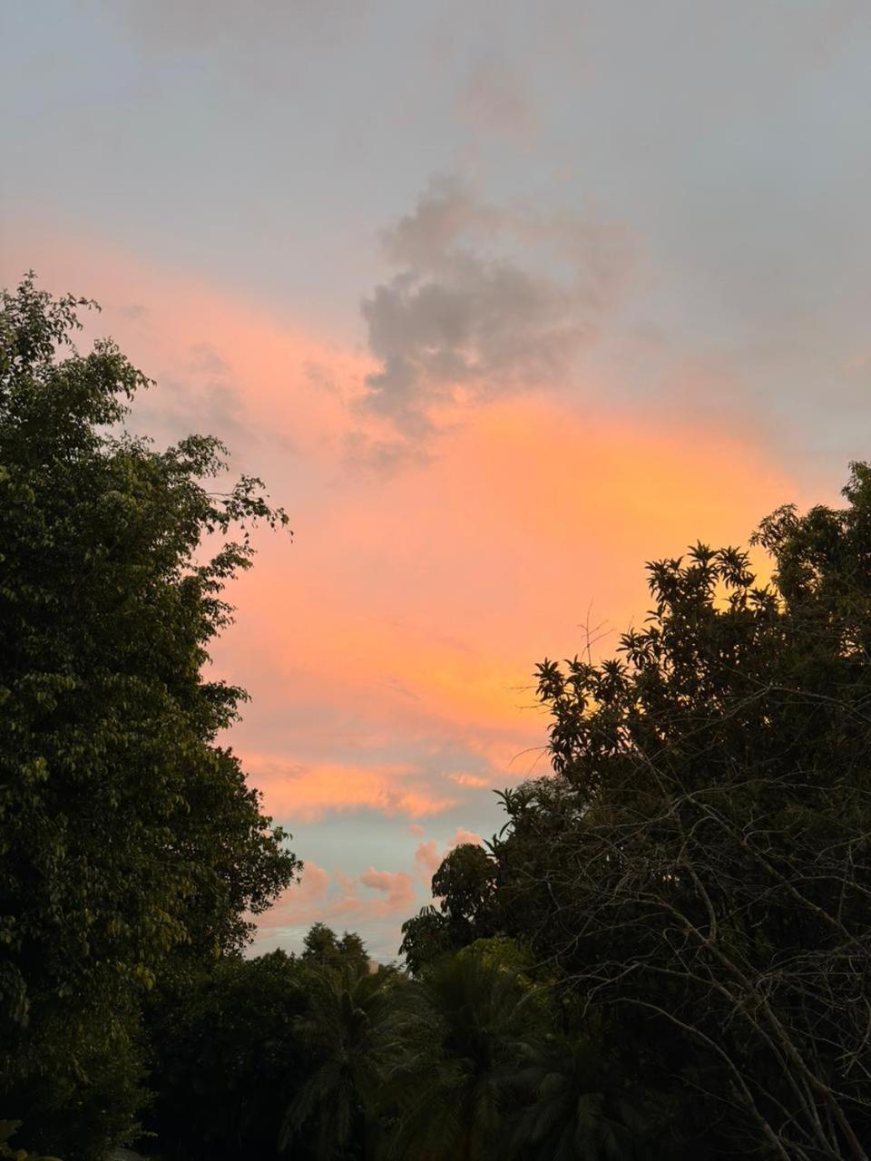 Ecocentro Brasil - Bangalô 1