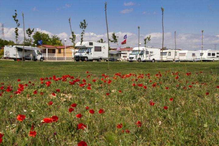 Camping de Olite
