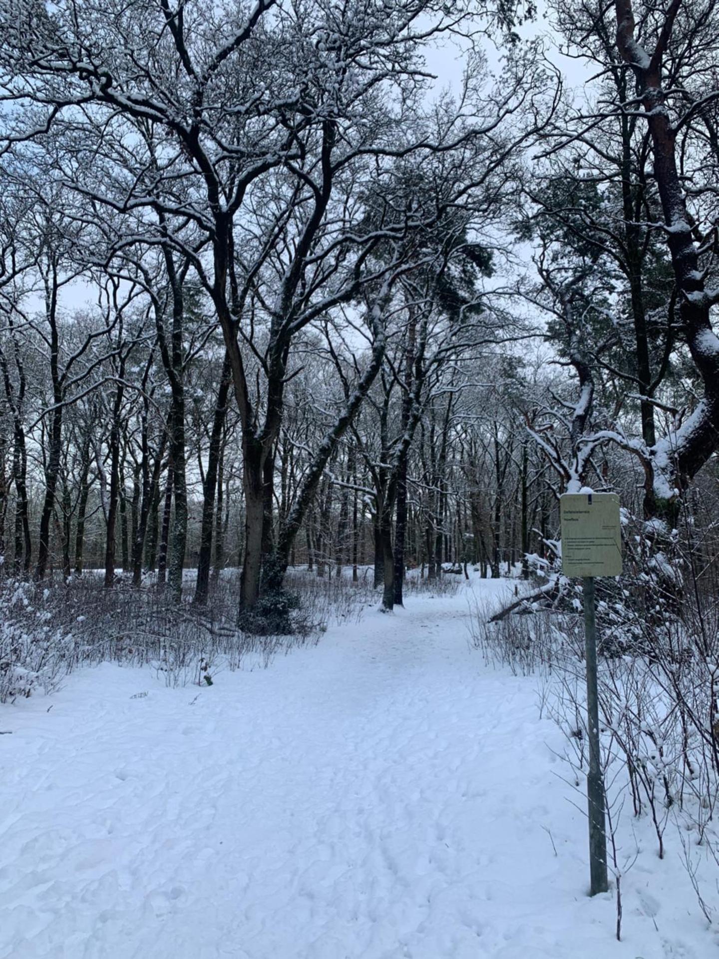 De Spitse Egel: ontdek de pareltjes in de natuur!