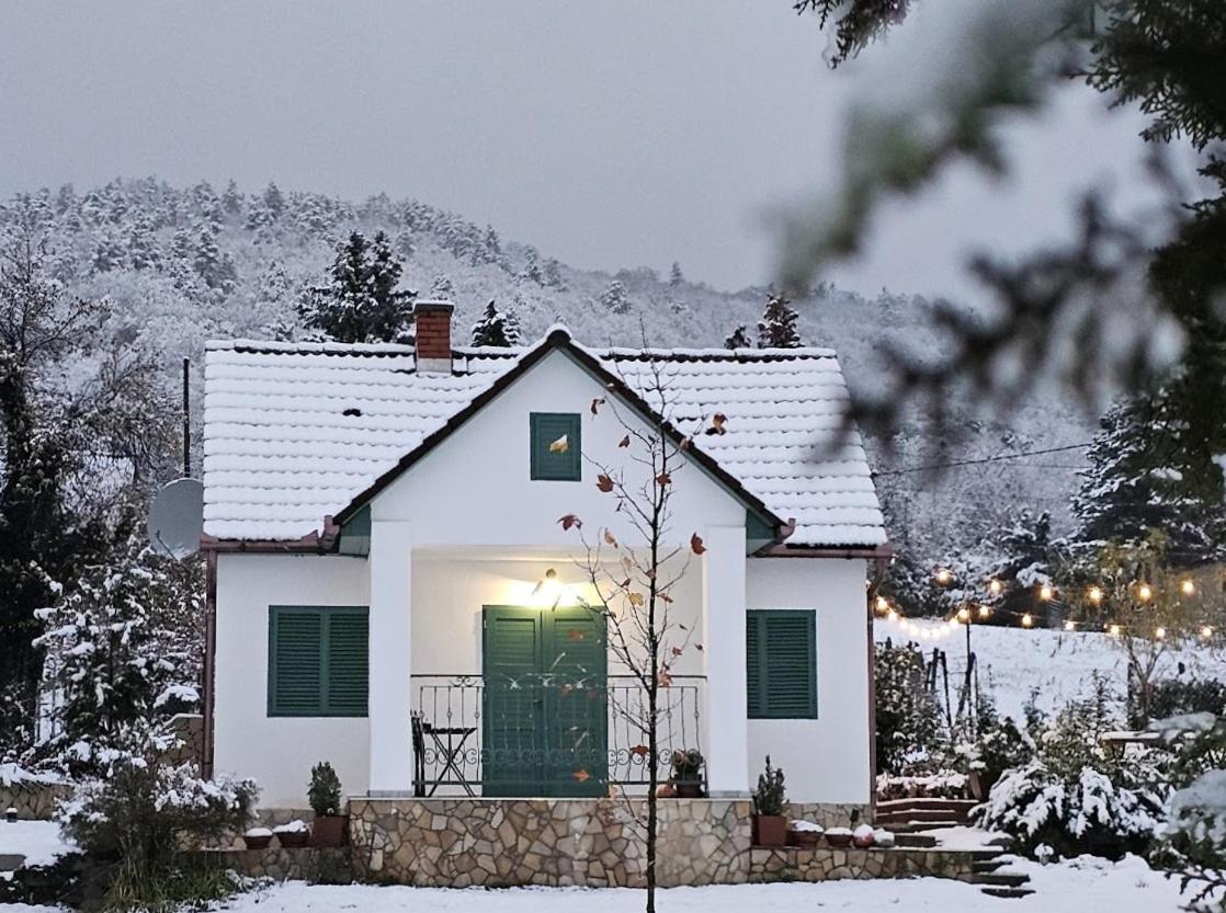 Zöld Vendégház - Siklós