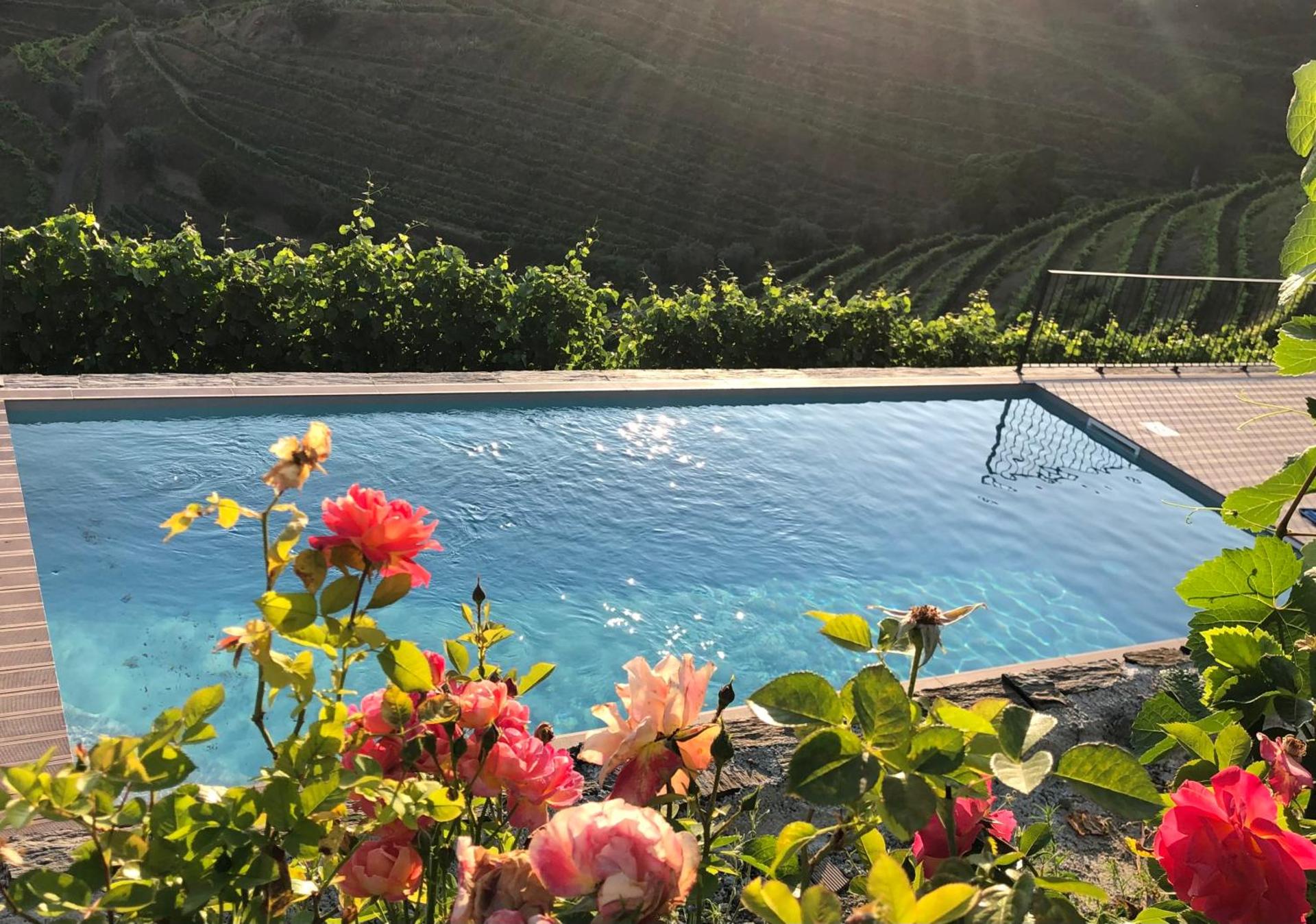 Quinta do Barrocal - Casa de Campo