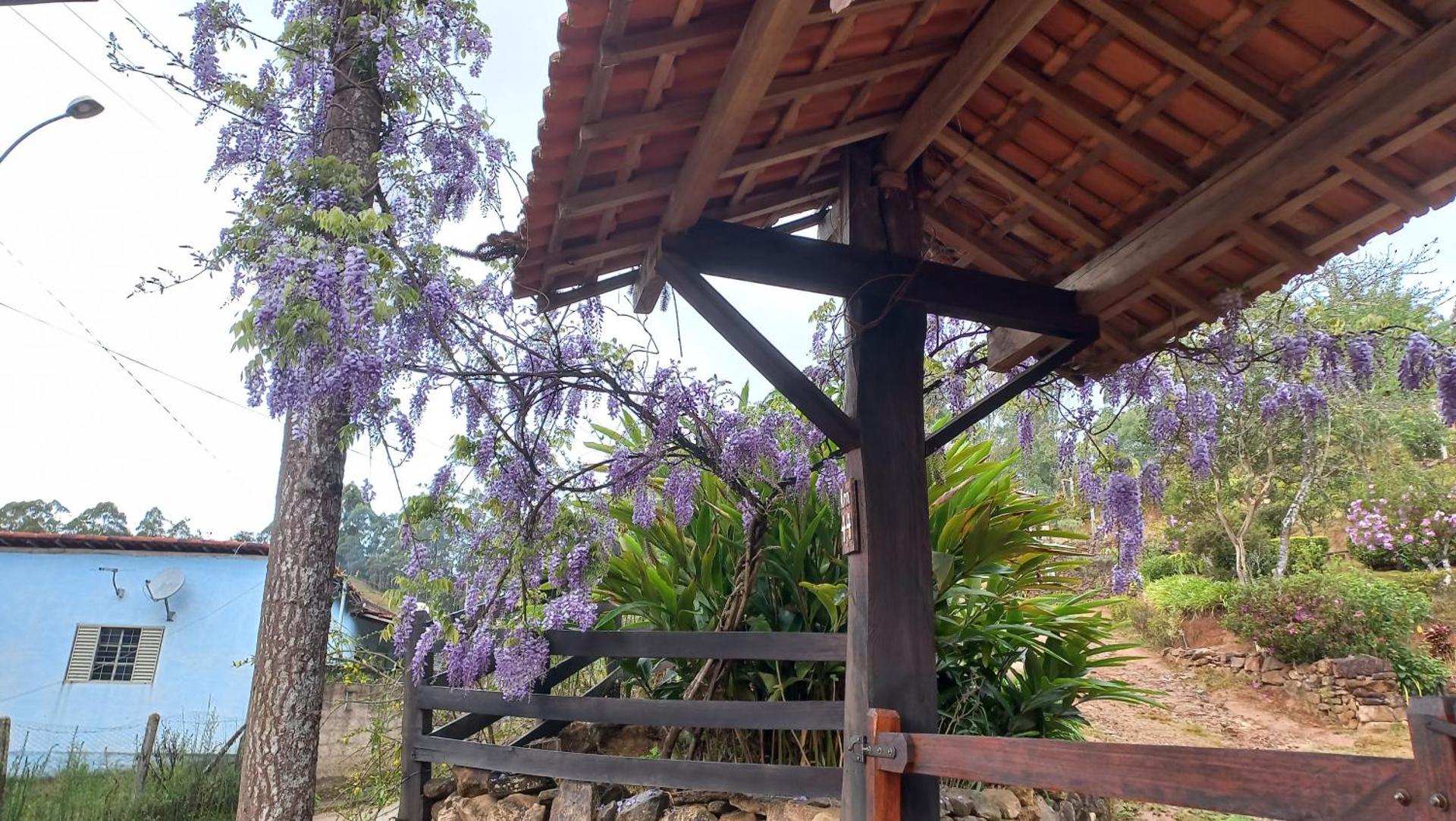 Pousada Vilarejo das Oliveiras