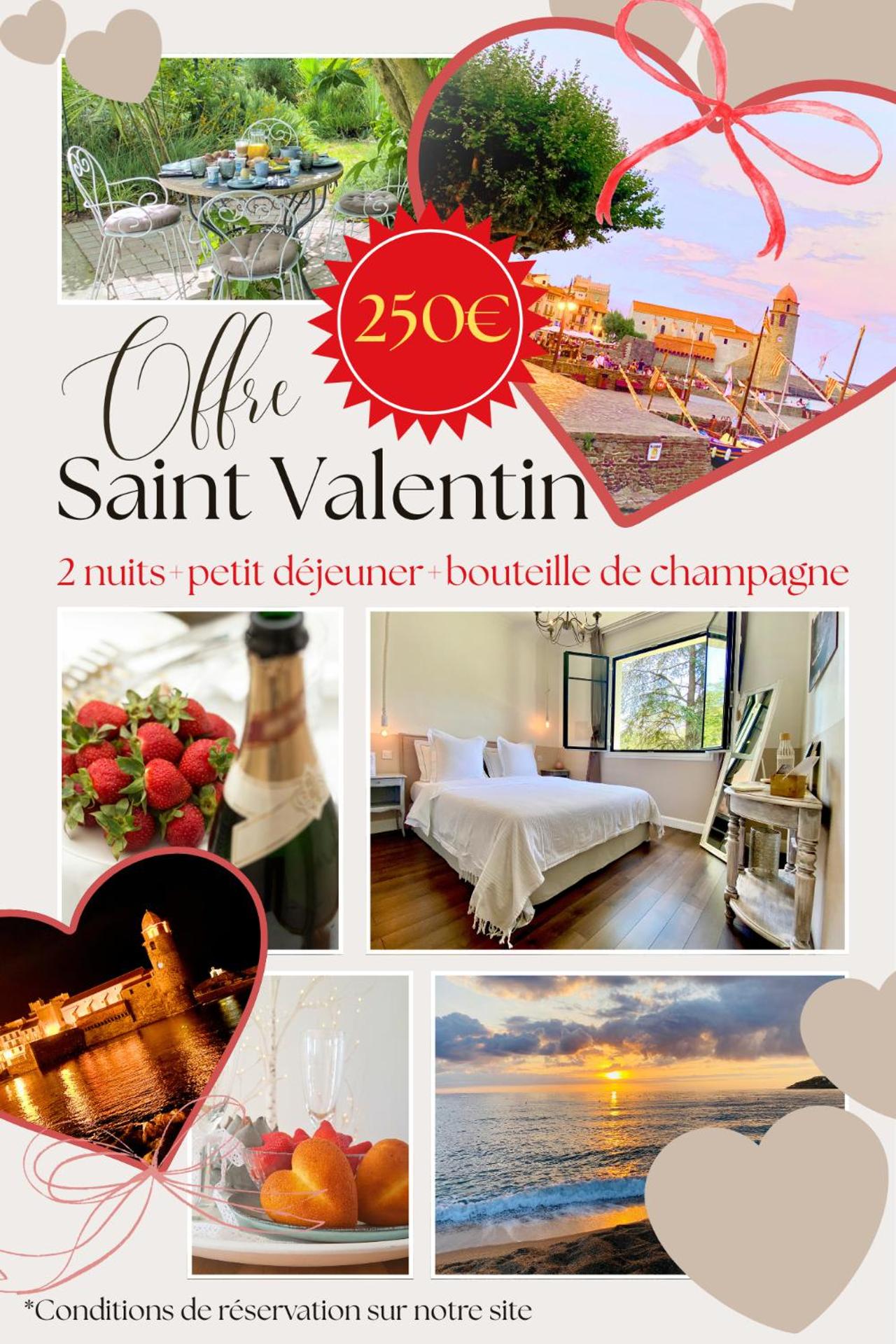 Le Chat Vert - Appartements Adults Only