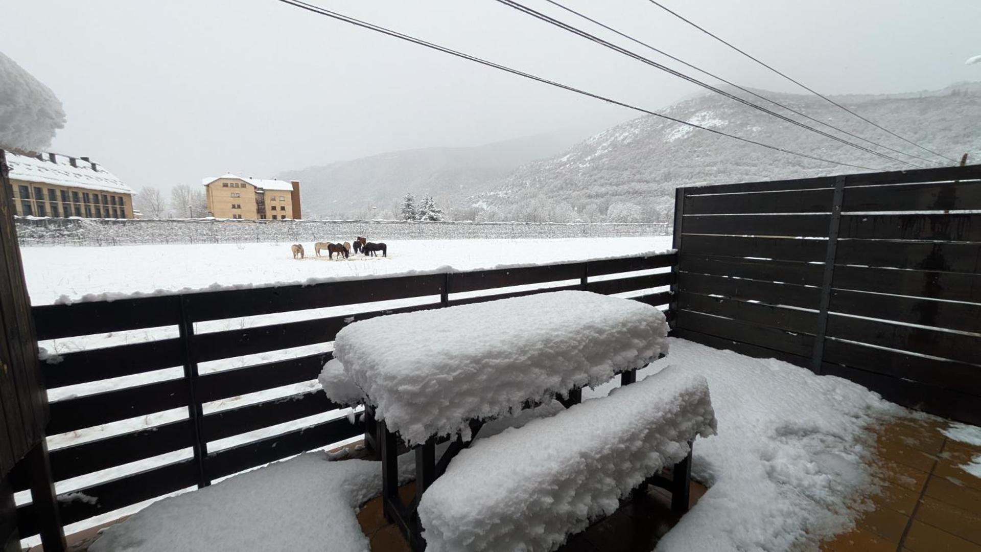 Apartament amb terrassa a Esterri by RURAL D'ÀNEU