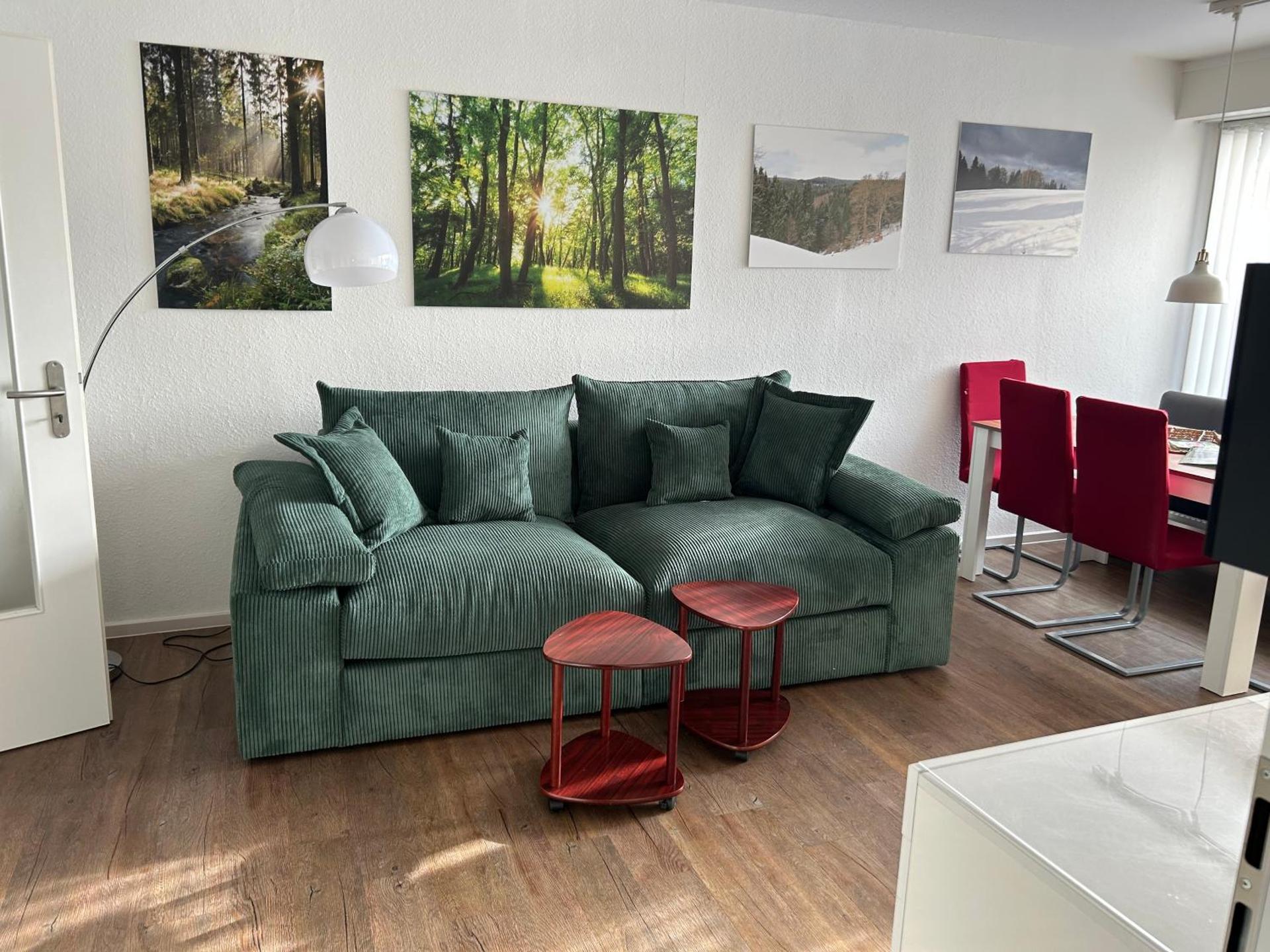 App 613 Panoramic Hohegeiß Terrassenhaus