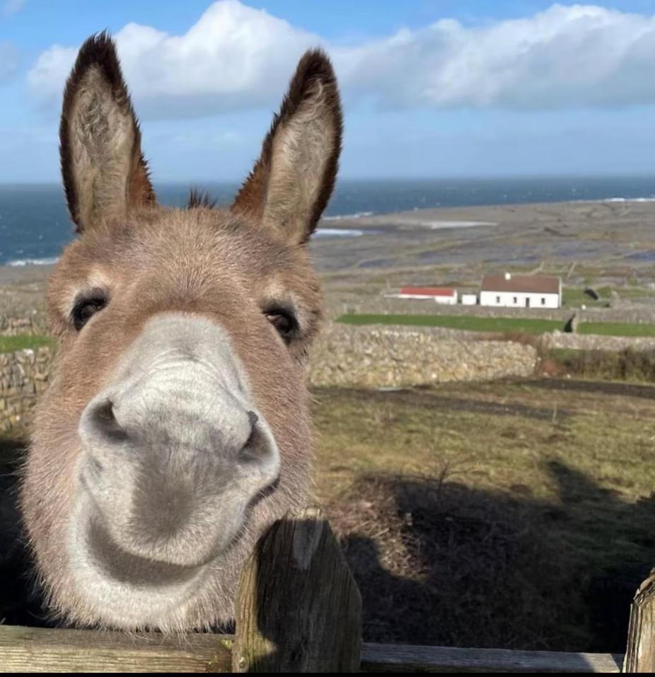 The RED KEEP Fab Location - Two Bed - Two Bathrooms -Townhouse