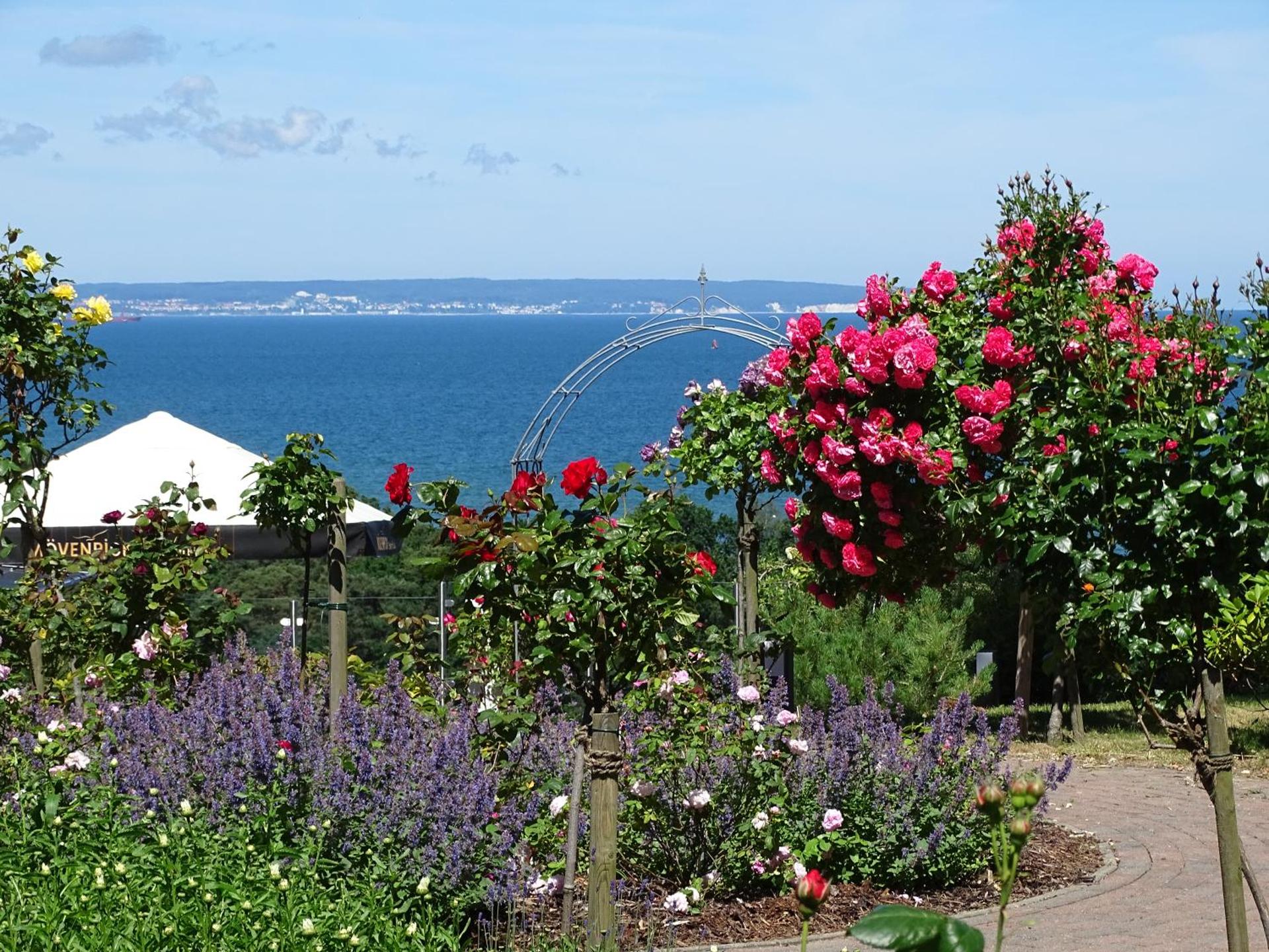 AKZENT Waldhotel Spa Rügen