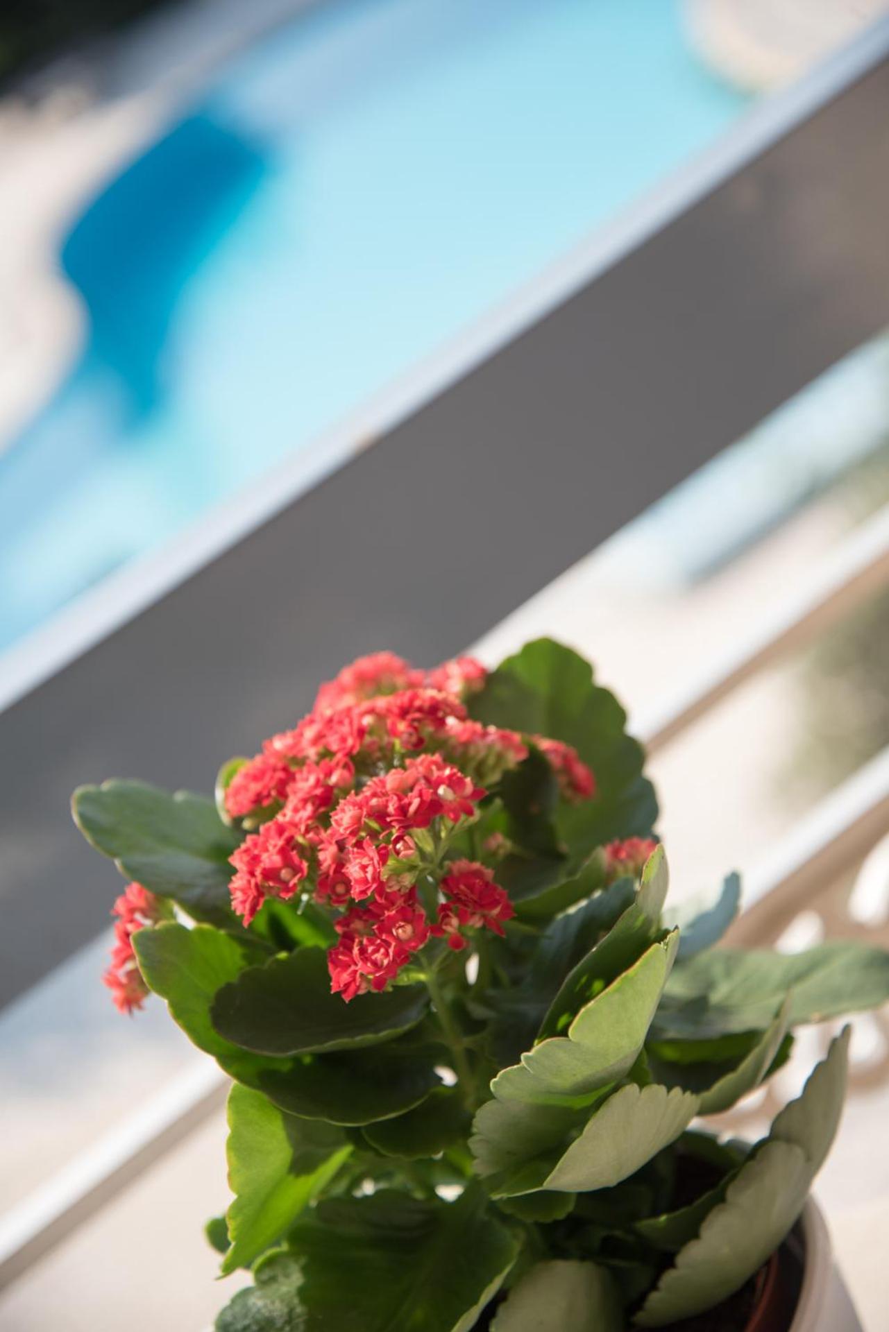 Acharnis Kavallari Hotel Suites