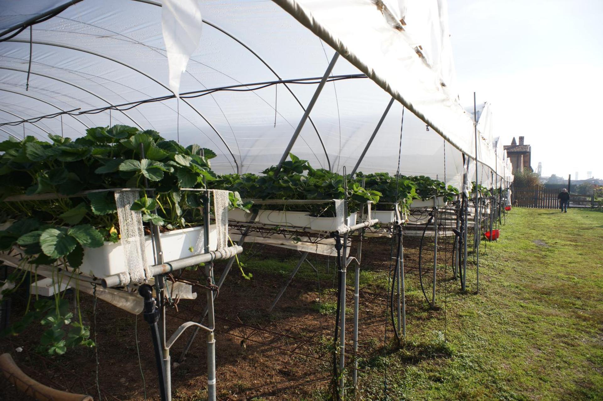 Corte Breda, Agriturismo Bed&Breakfast