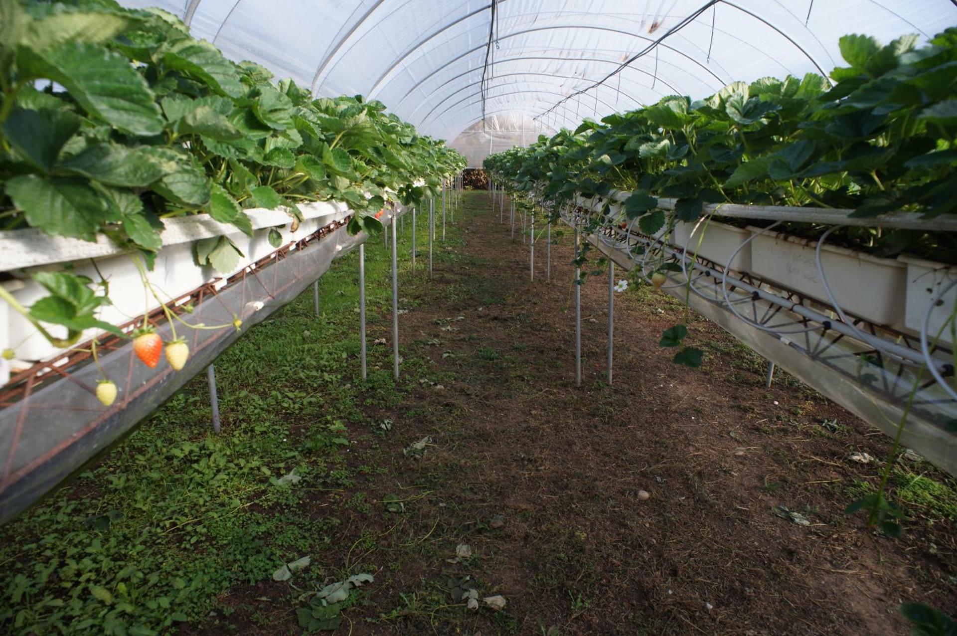 Corte Breda, Agriturismo Bed&Breakfast