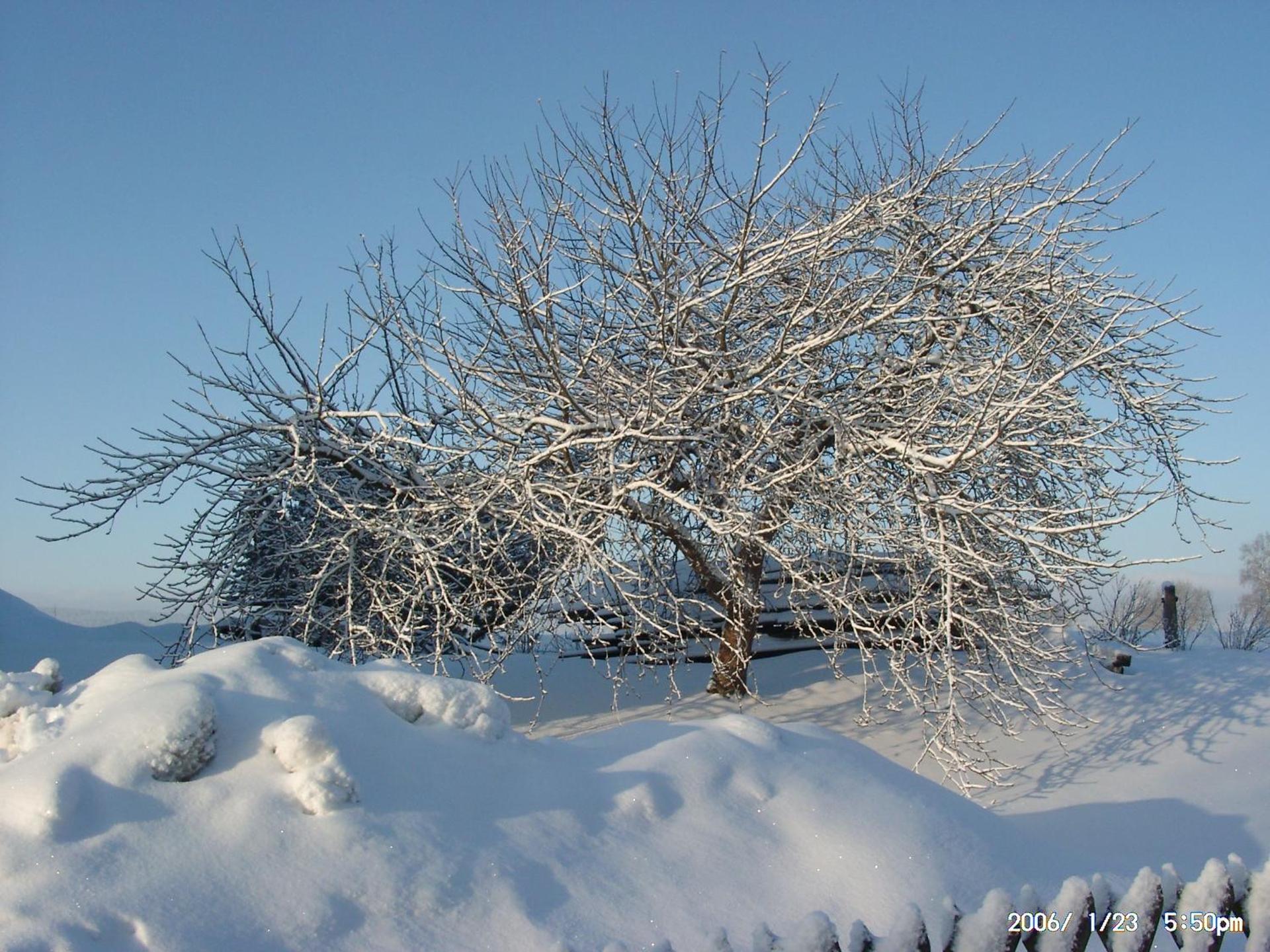 Landpension Heidi Machold