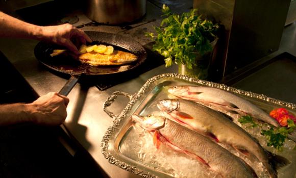 Restaurant/places to eat