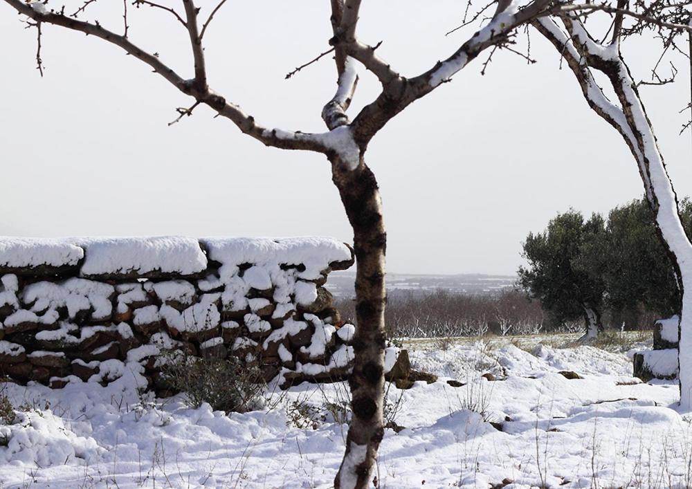 Casa Salto de Roldán