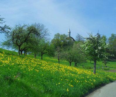 Landgasthof Hirschen