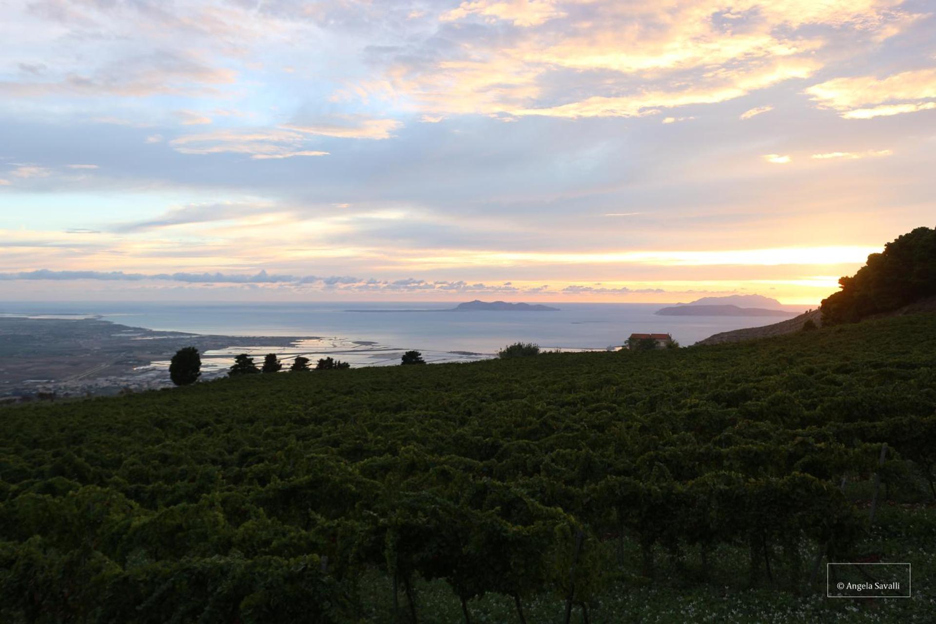 Casa nel Vigneto Erice