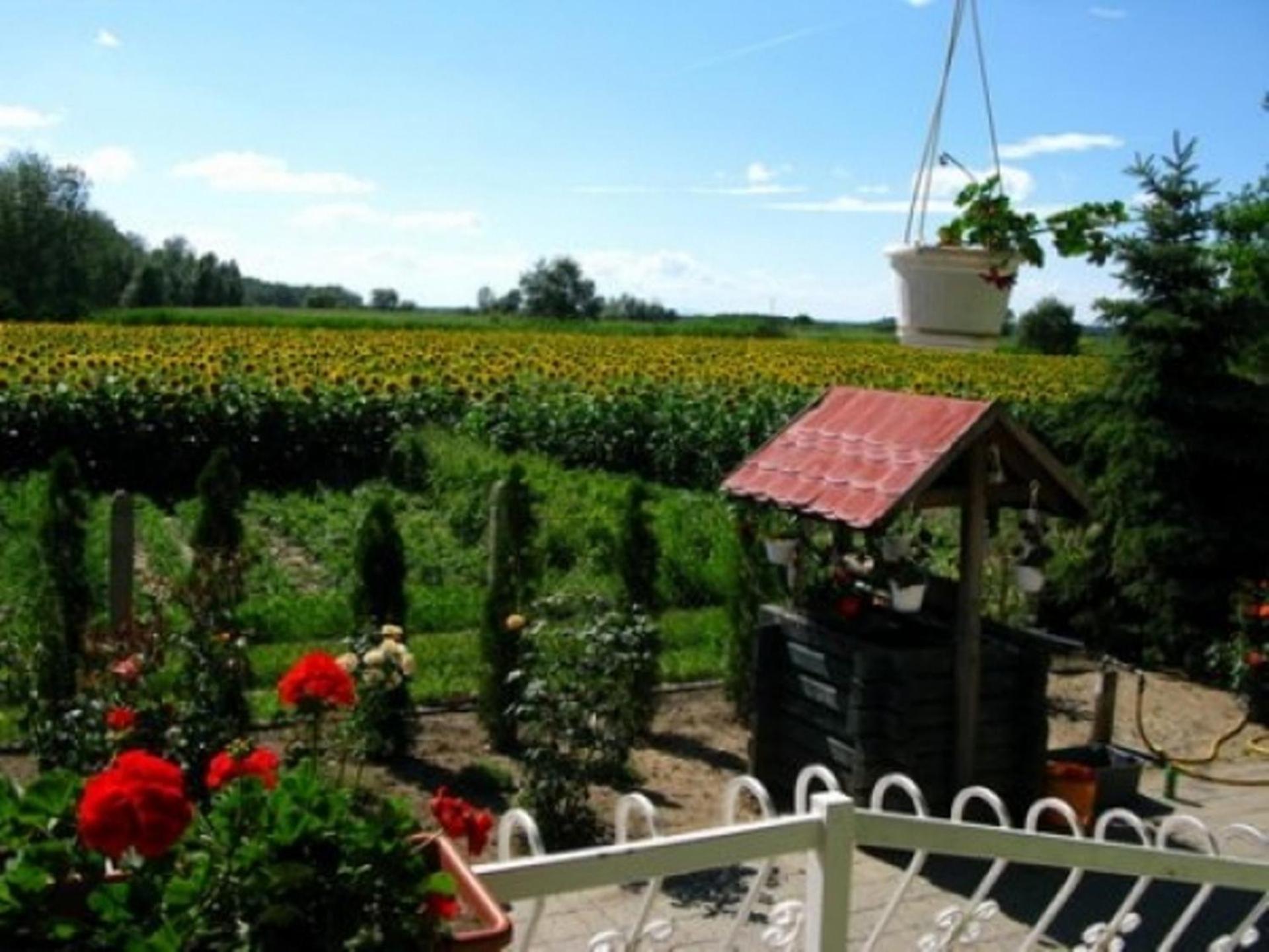 Horgász-Vadász Vendégház