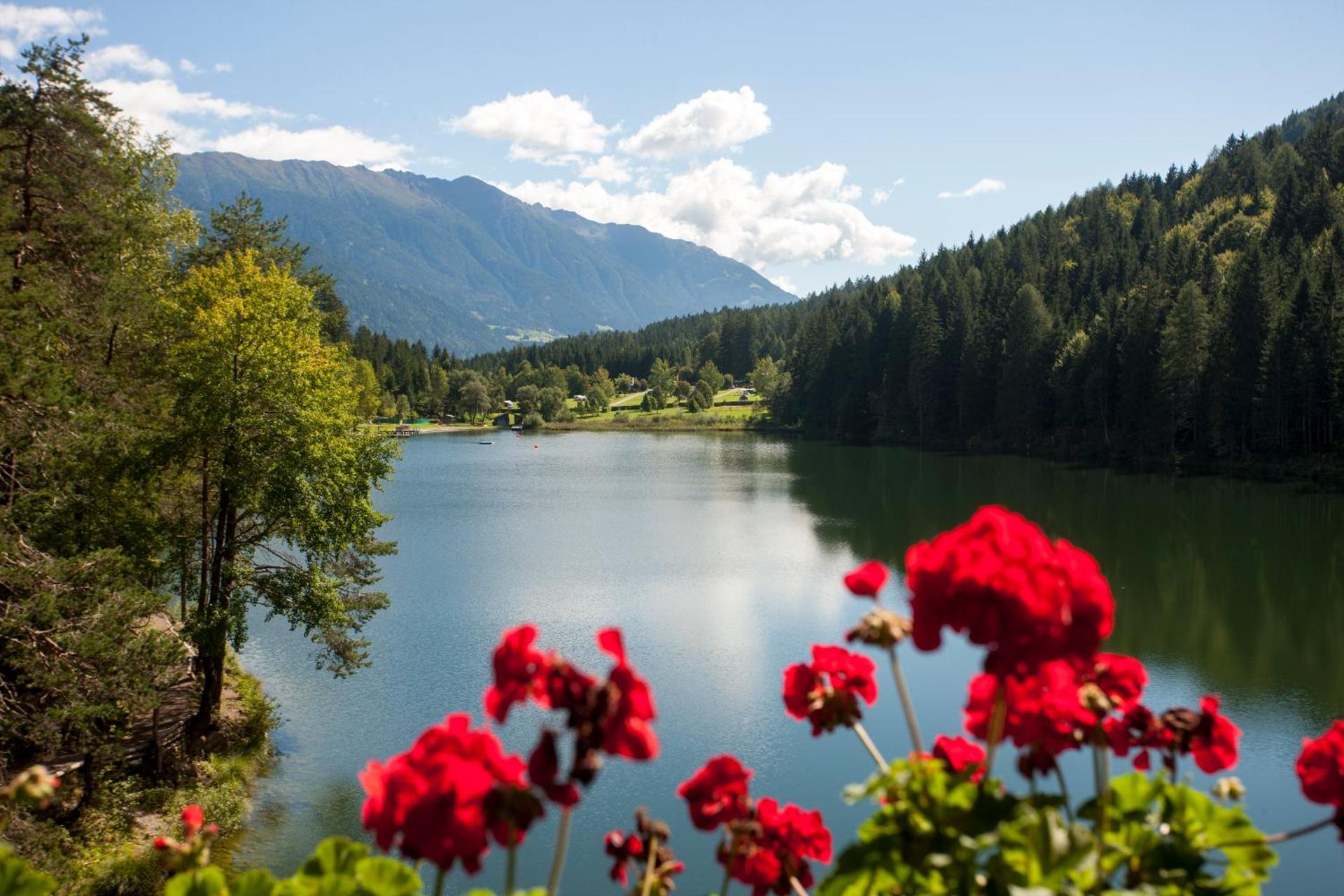 Lake view