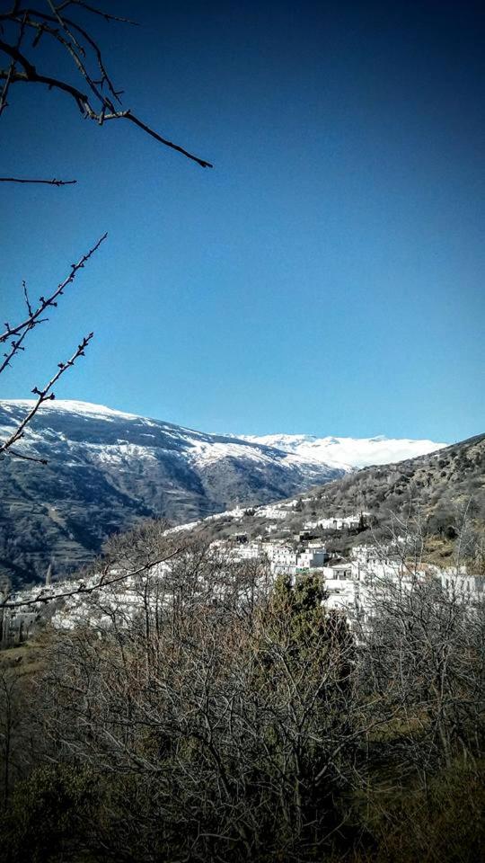 Apartamentos Casalpujarra