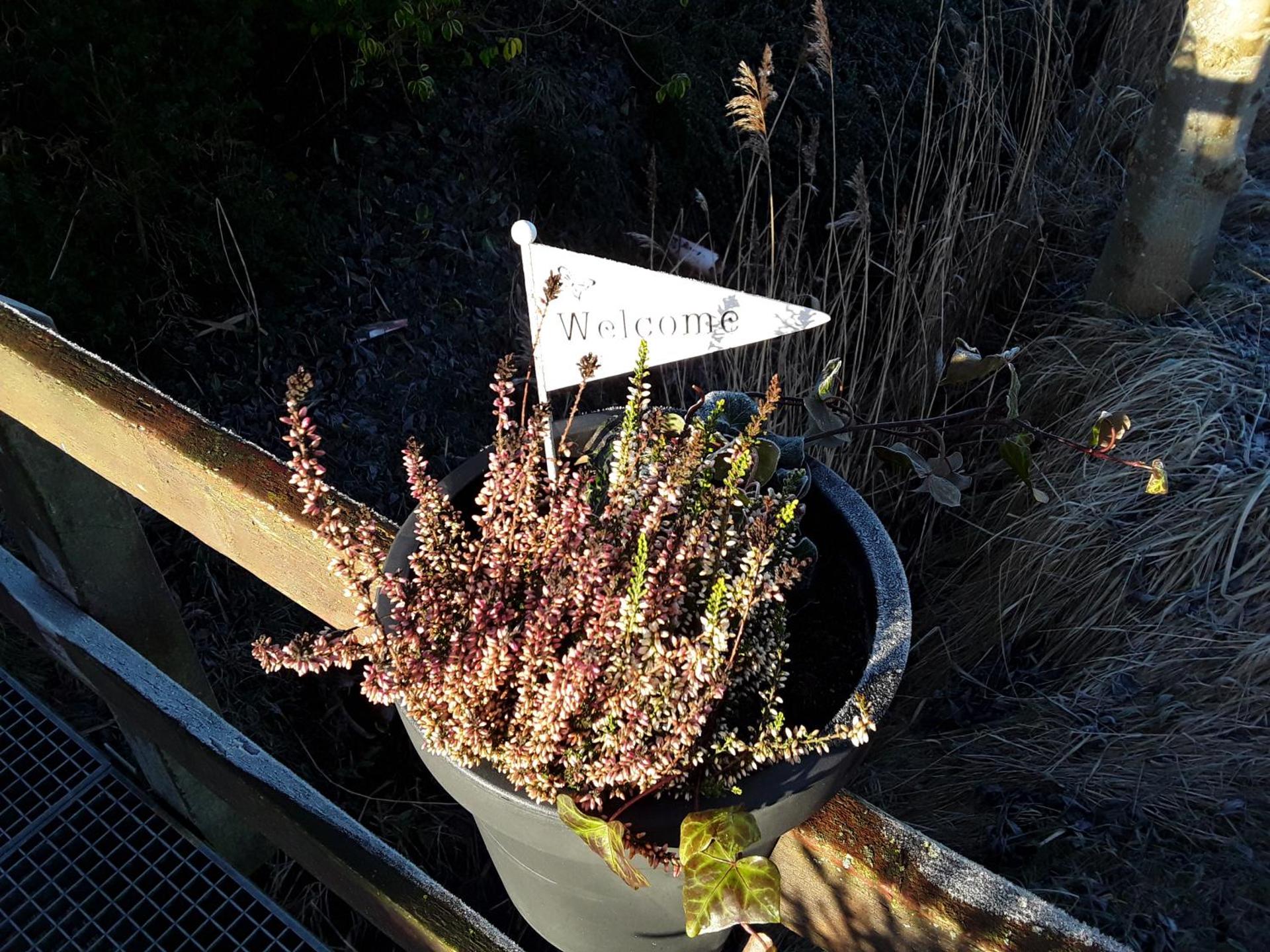 Property logo or sign