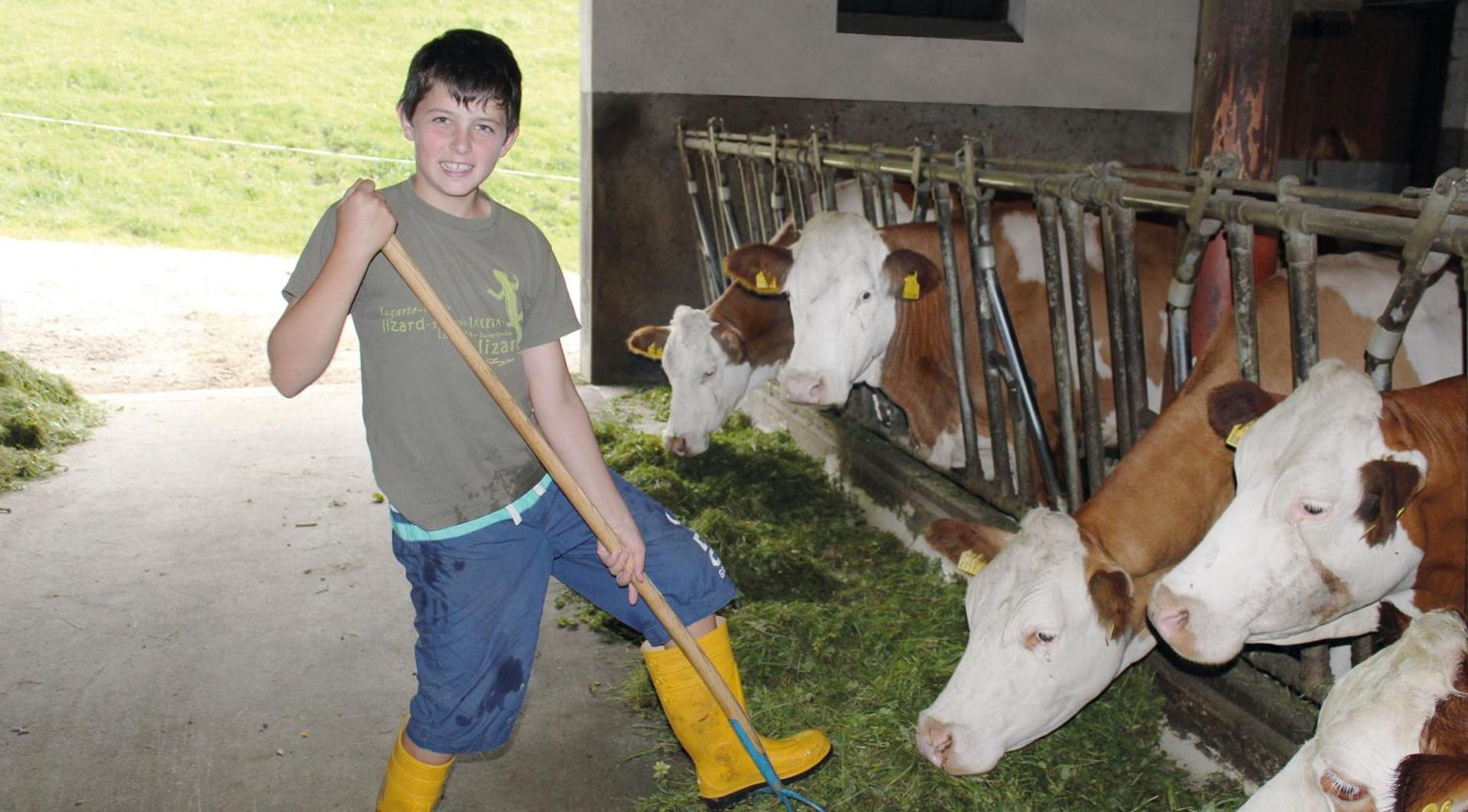 Evening entertainment