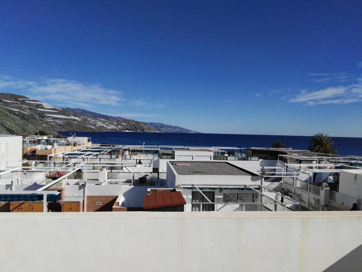 Velez Nazari Cambriles