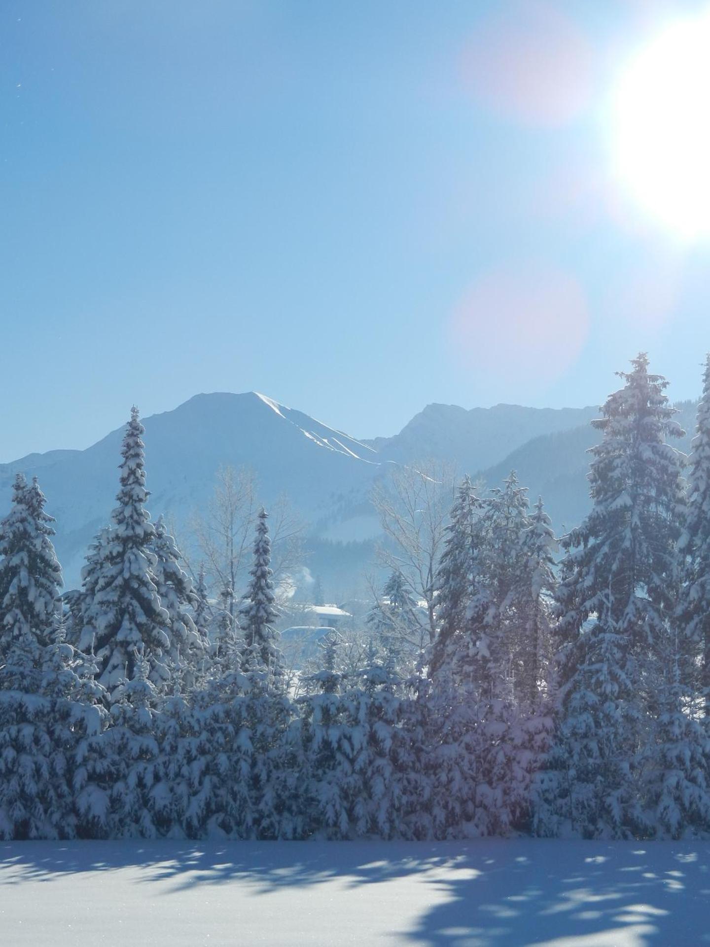 View (from property/room)