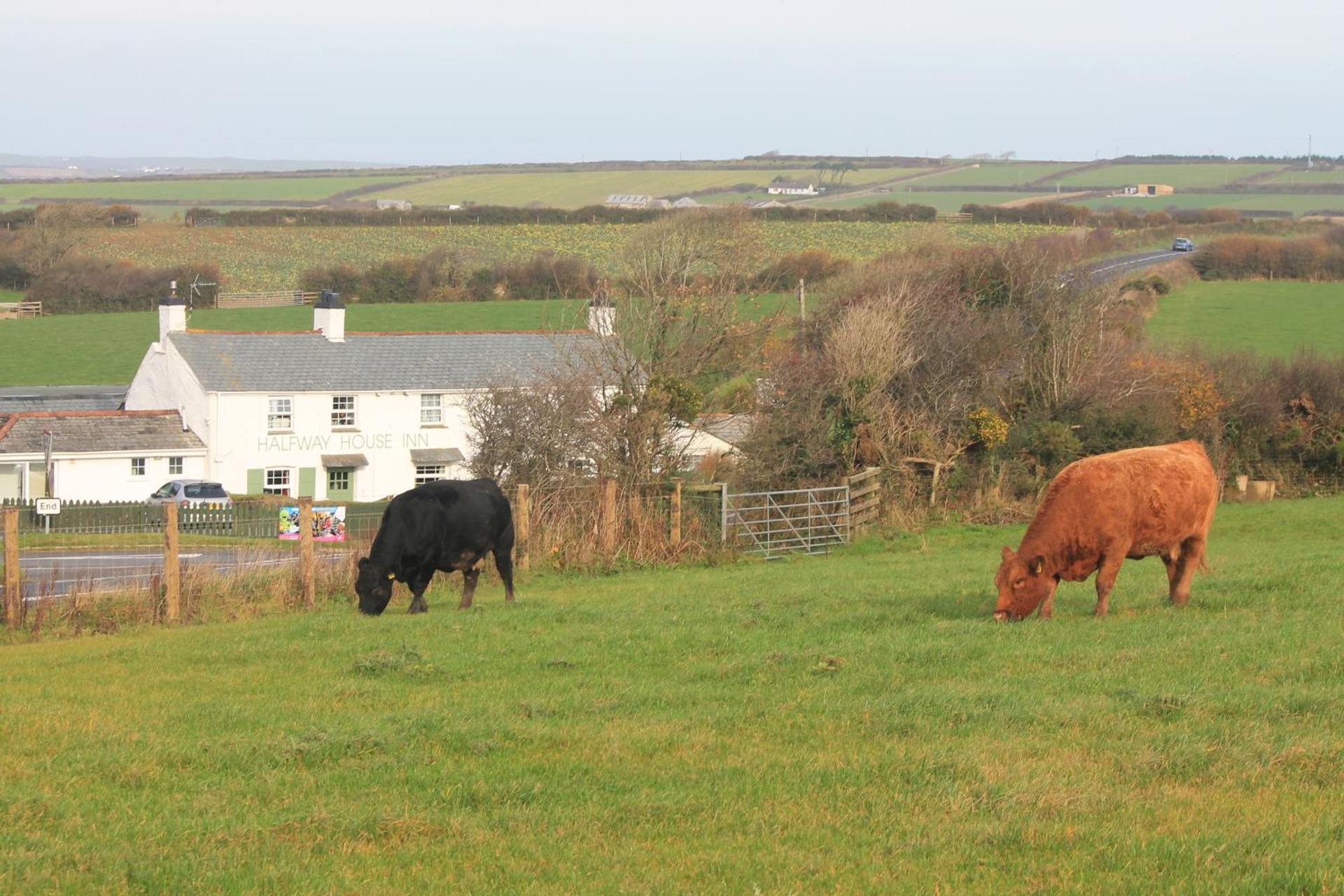View (from property/room)