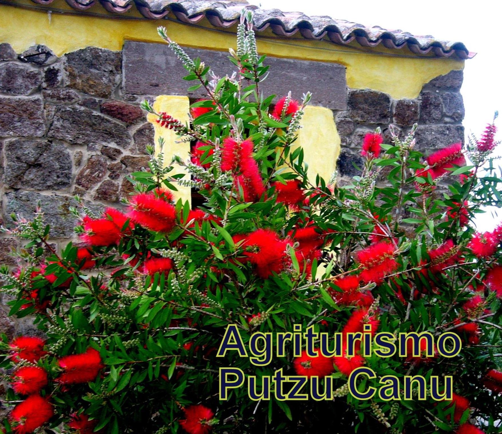 Agriturismo nuraghe Putzu Canu